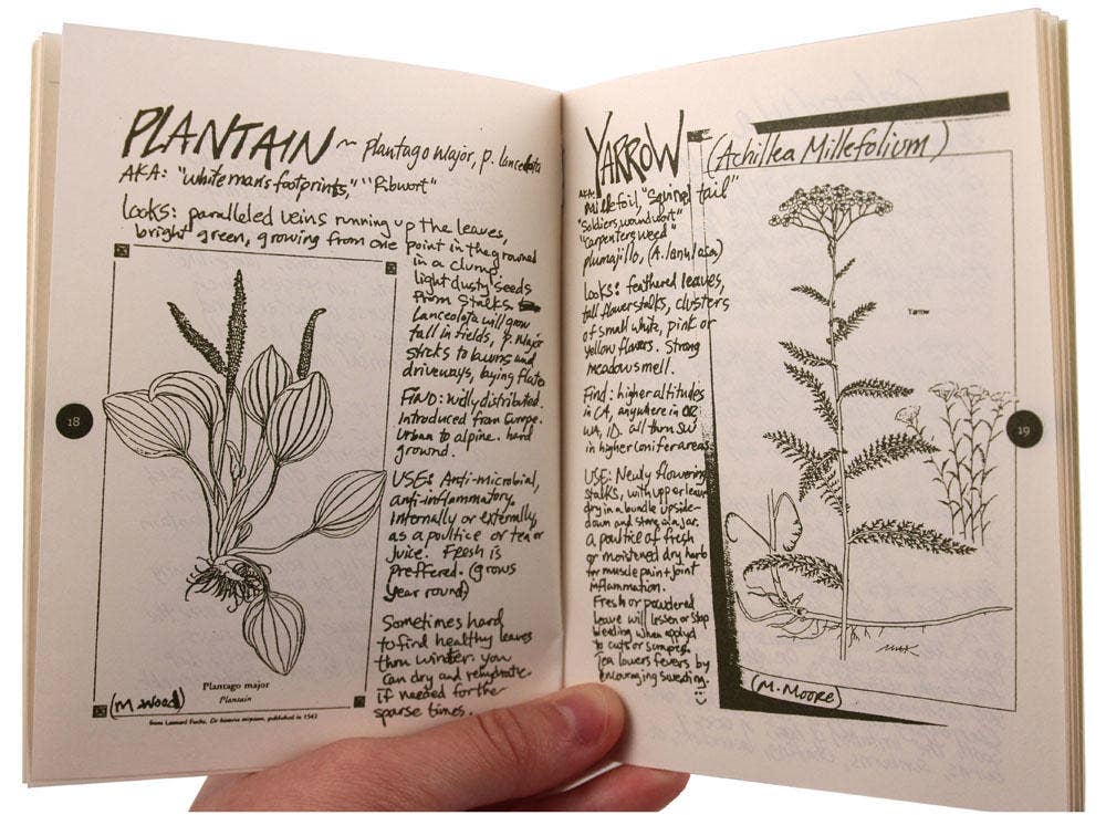 Cat's Claw Herbal: DIY Medicinal Skincare (Zine)