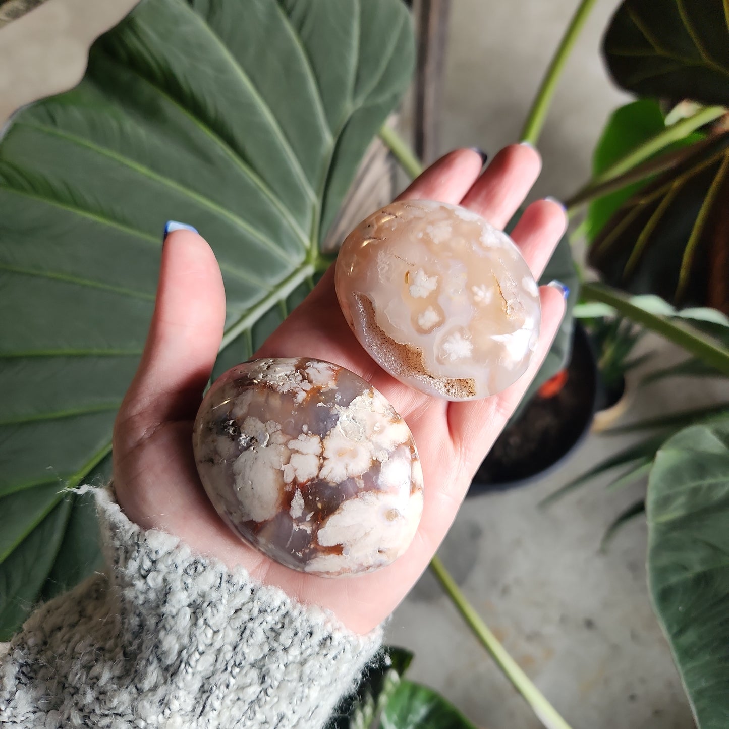 Flower Agate Palm Stones