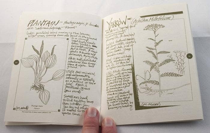 Cat's Claw Herbal: DIY Medicinal Skincare (Zine)