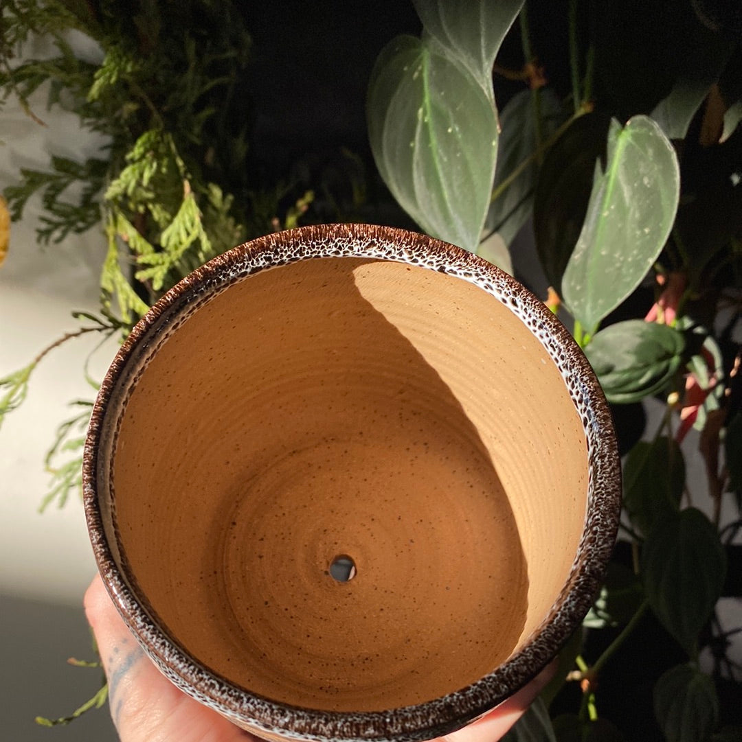 Moon Raven Planter