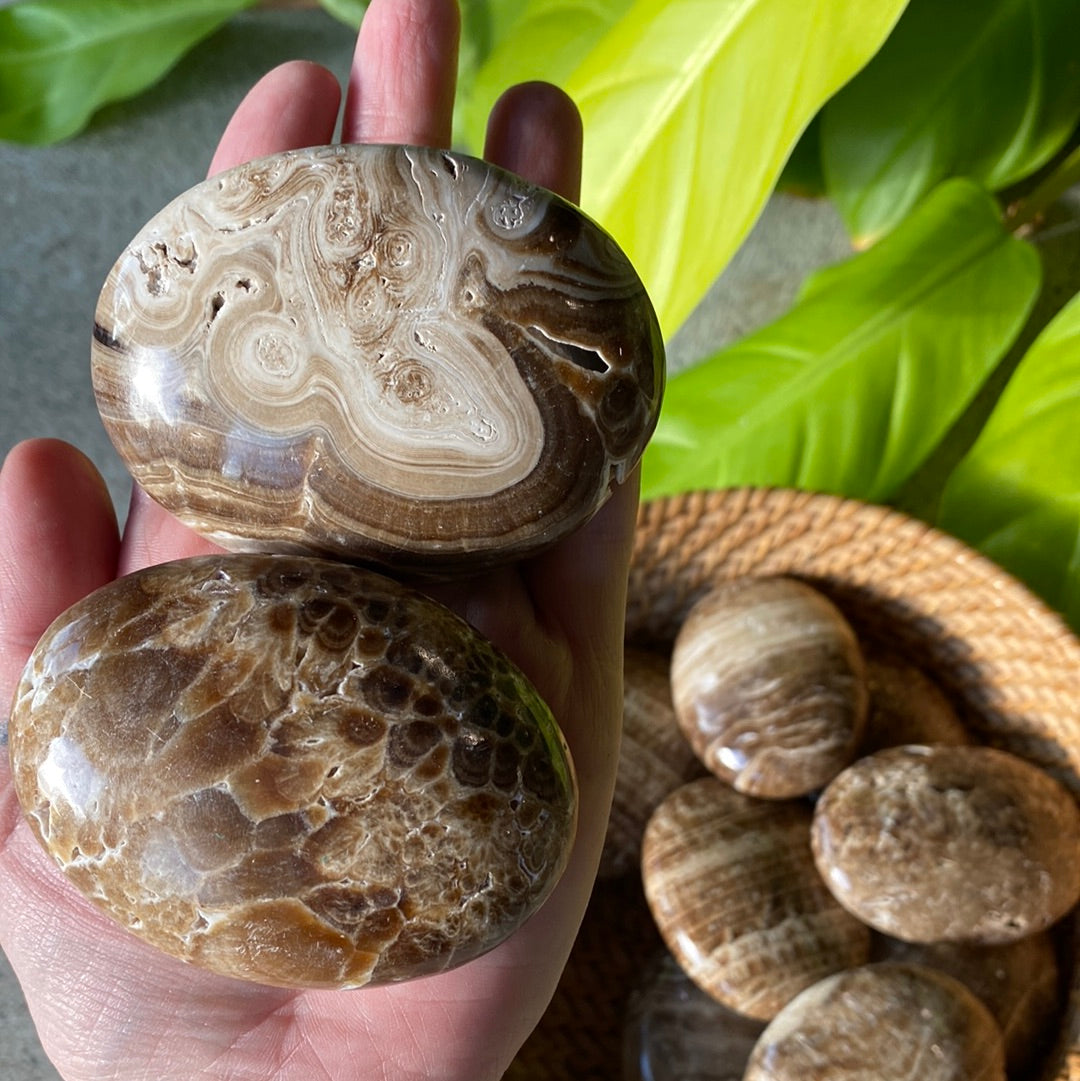 Brown Aragonite Palm Stones