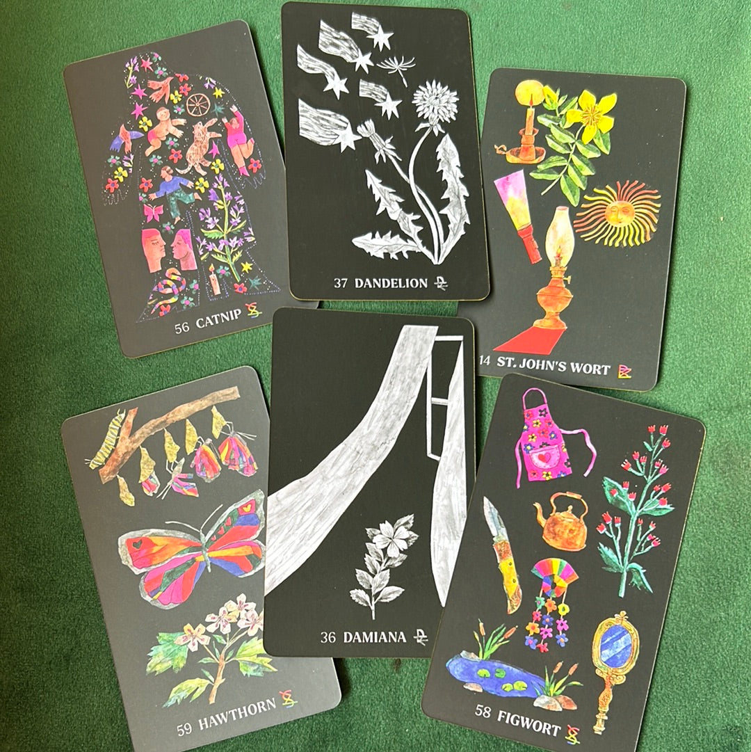 Dirt Gems: Plant Oracle Deck & Guidebook