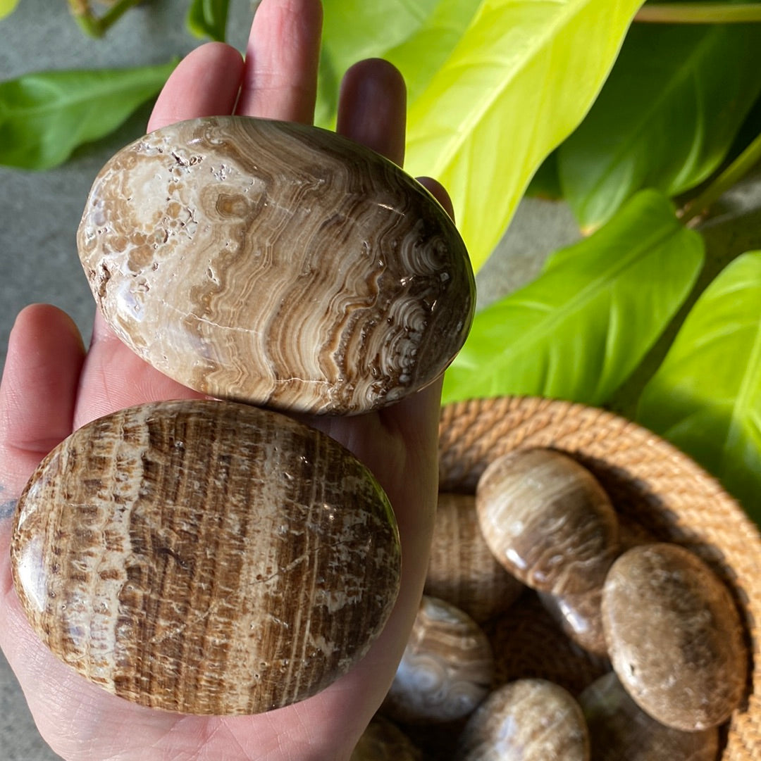 Brown Aragonite Palm Stones