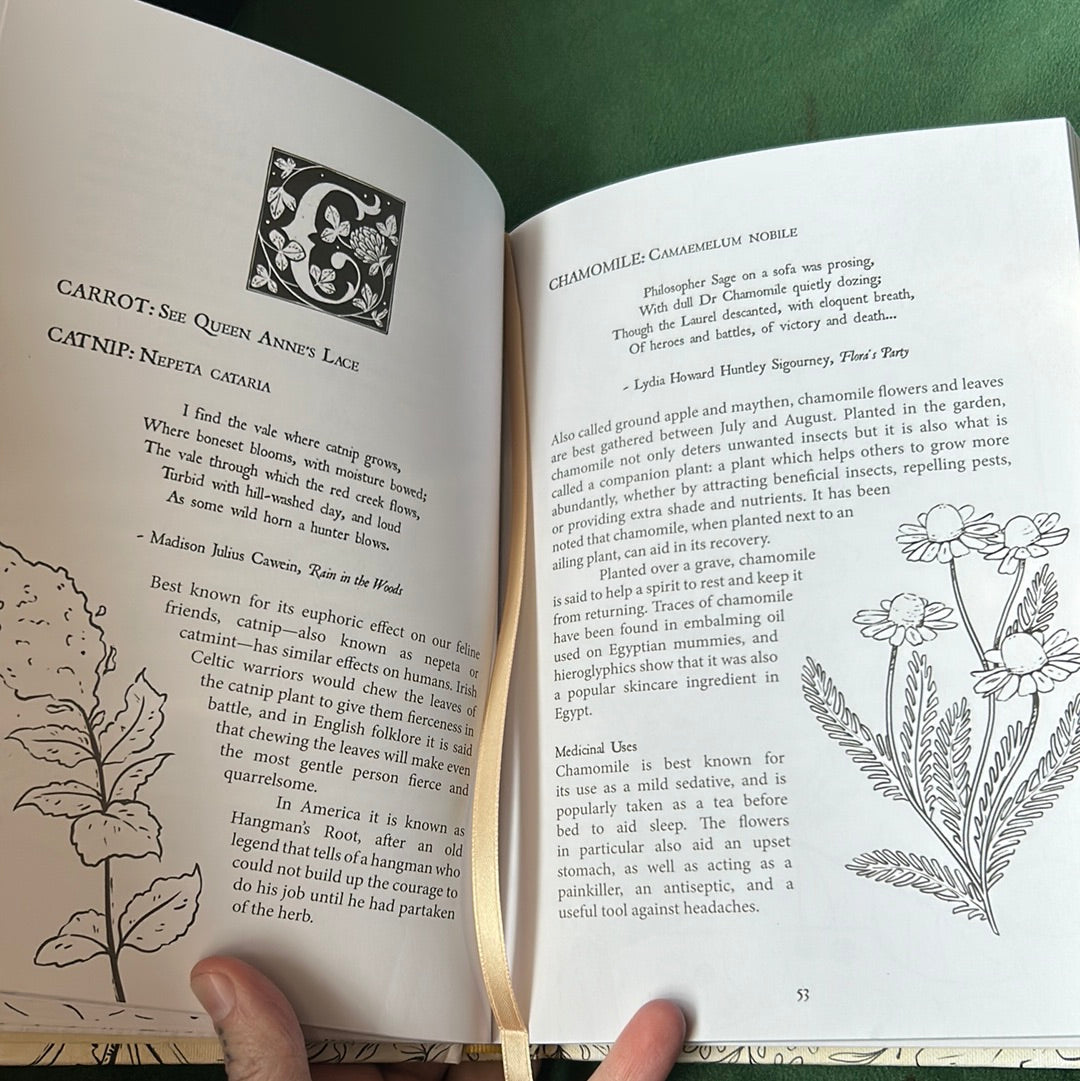 Folk Magic and Healing