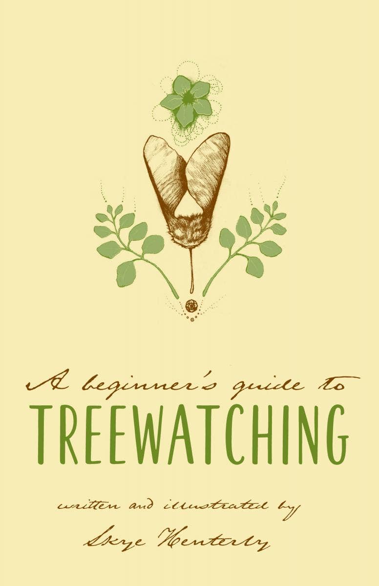 Beginner's Guide to Treewatching (Zine)