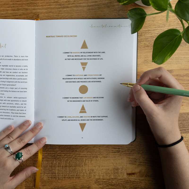 Elemental Alchemist Guided Journal by Nyasha Williams