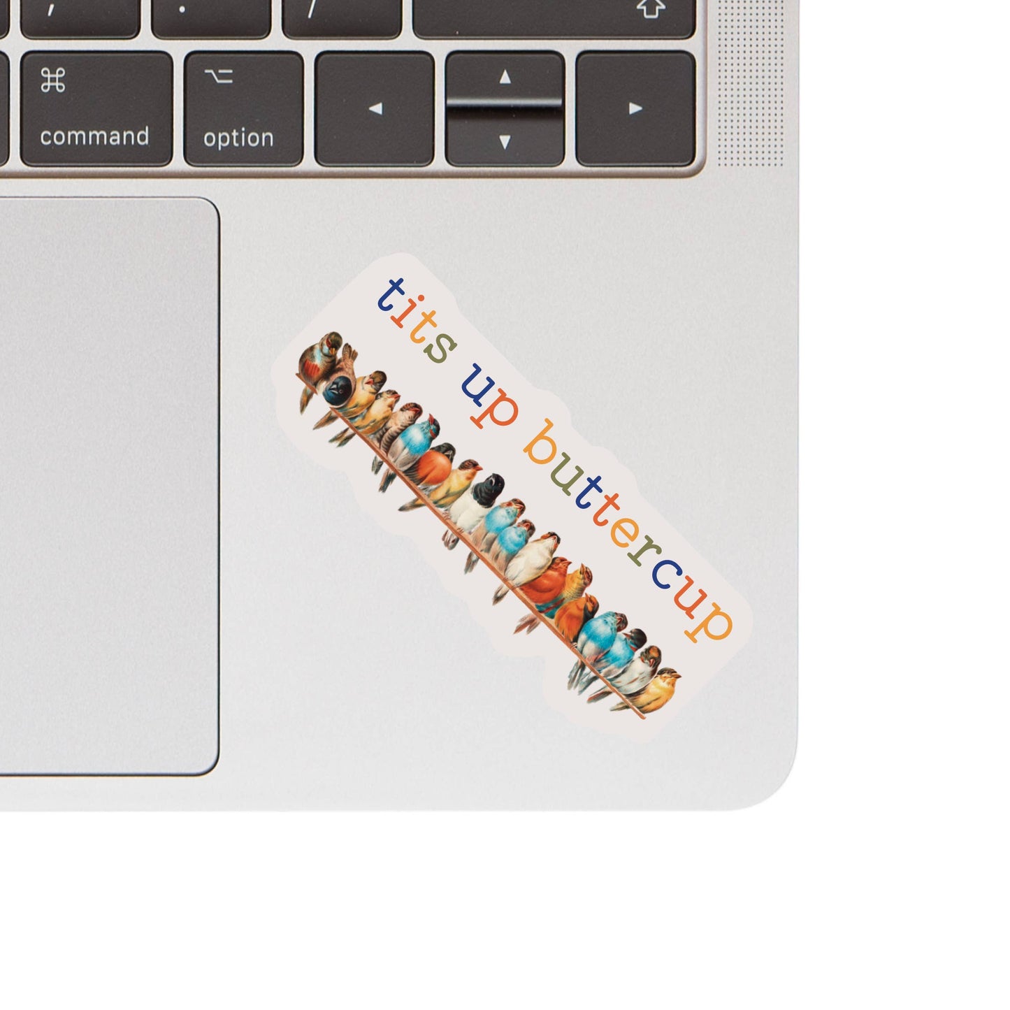 Tits Up Bird Vinyl Sticker