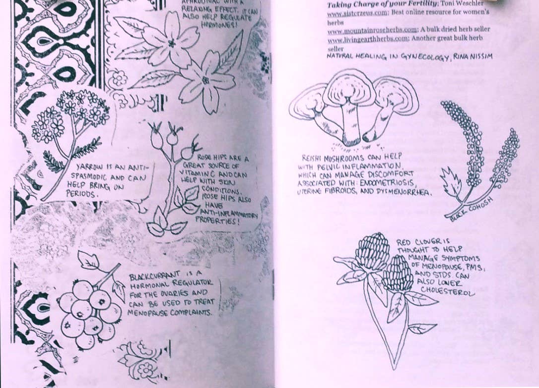 Garden Feminism Zine #2: Herbal Remedies Reproductive Care