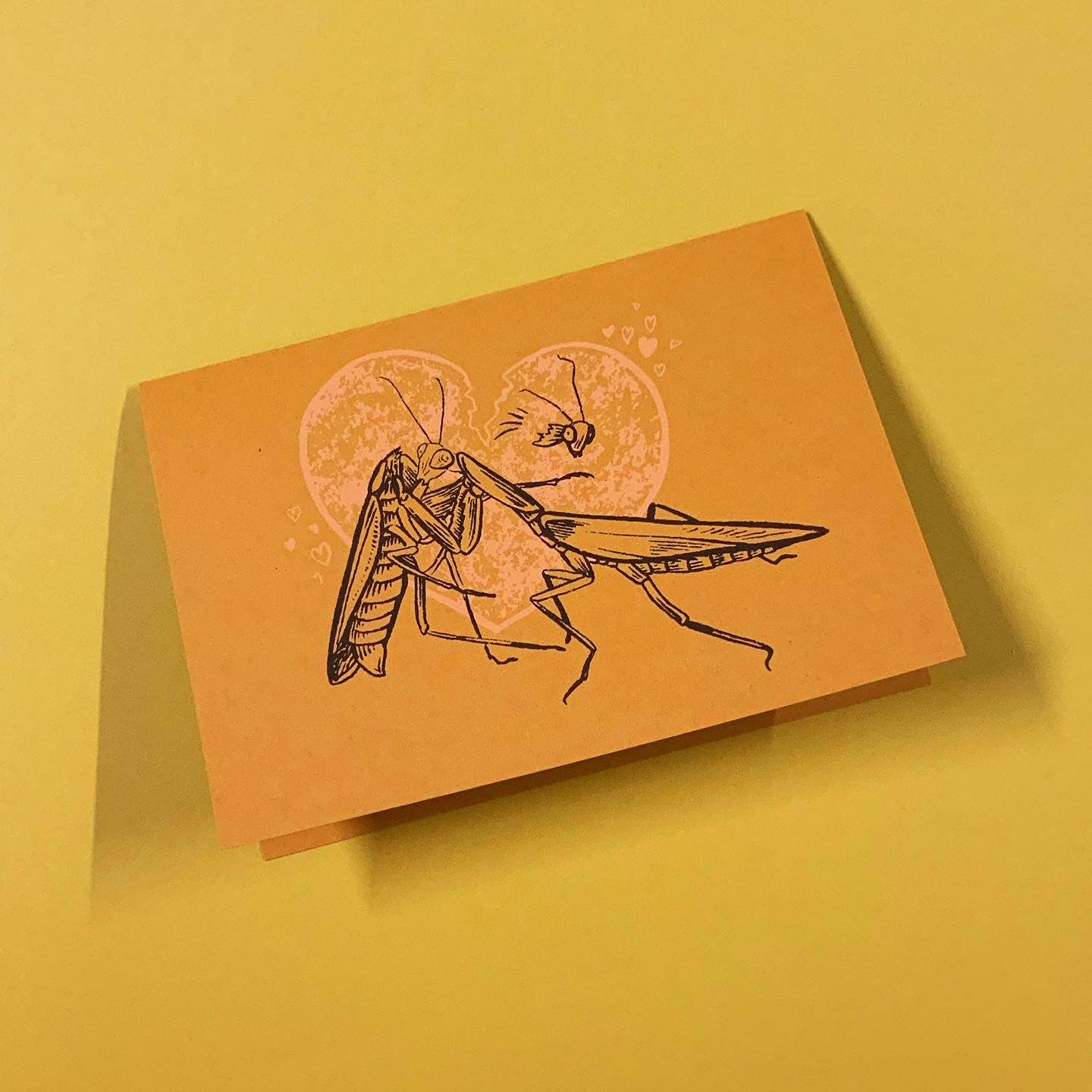 Praying Mantis : Love Bugs Card