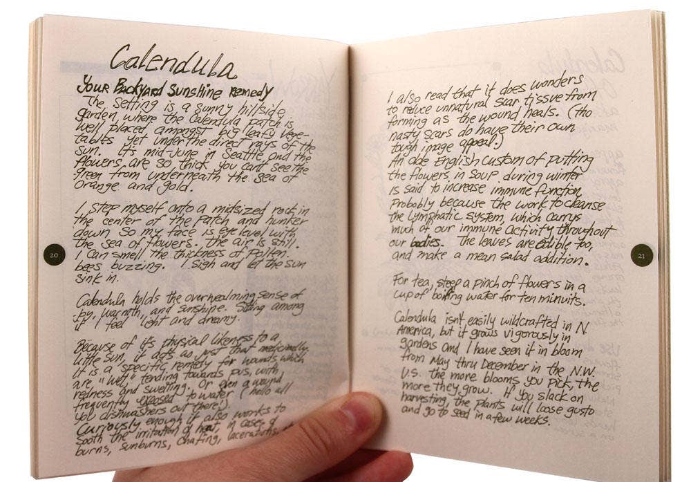 Cat's Claw Herbal: DIY Medicinal Skincare (Zine)