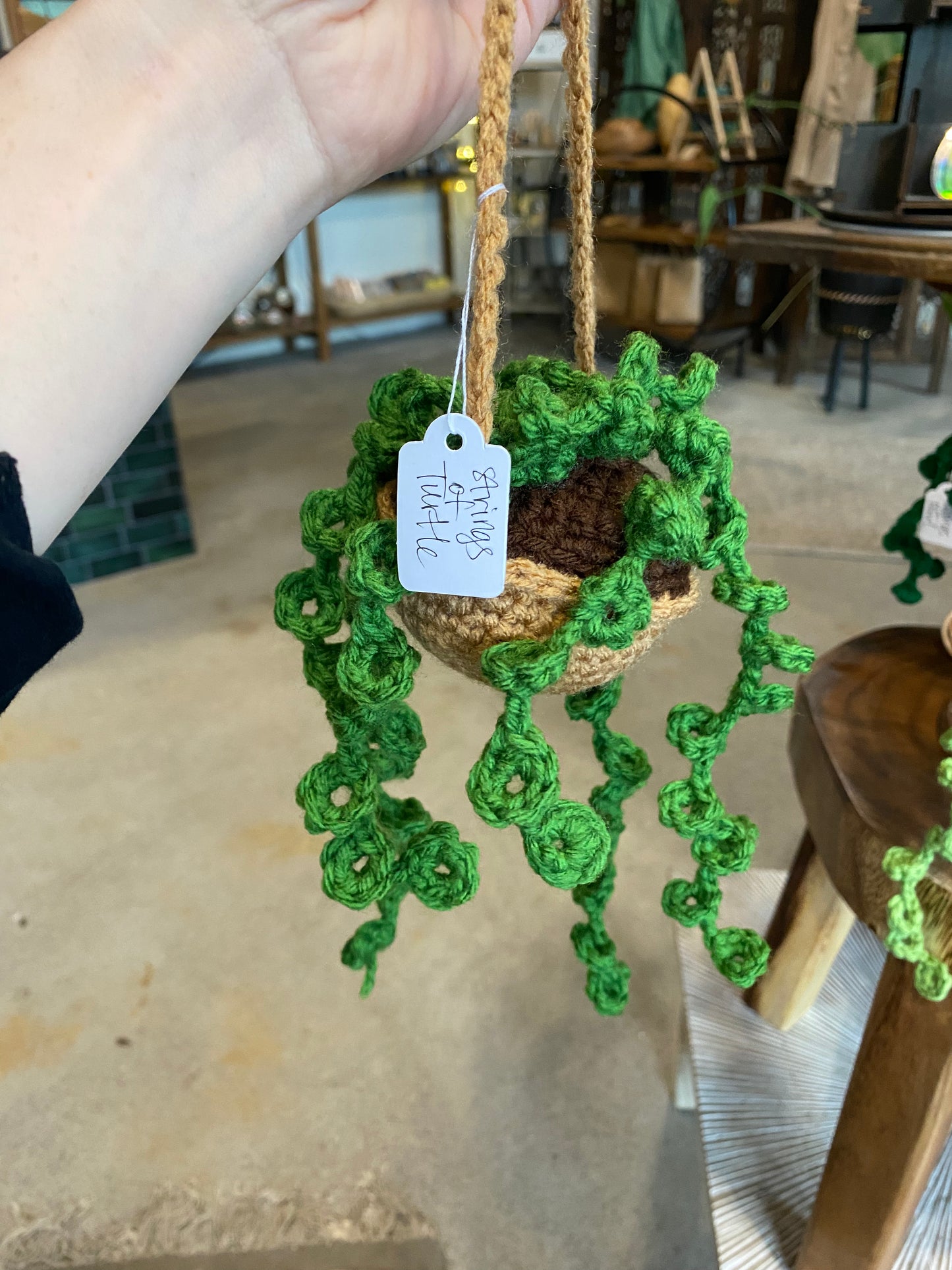 Hand-Crocheted Decorative “Plants”