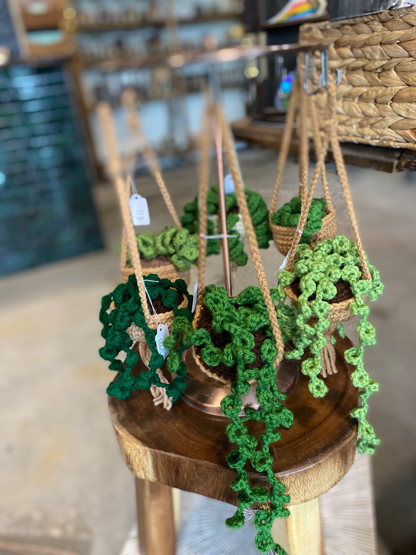 Hand-Crocheted Decorative “Plants”