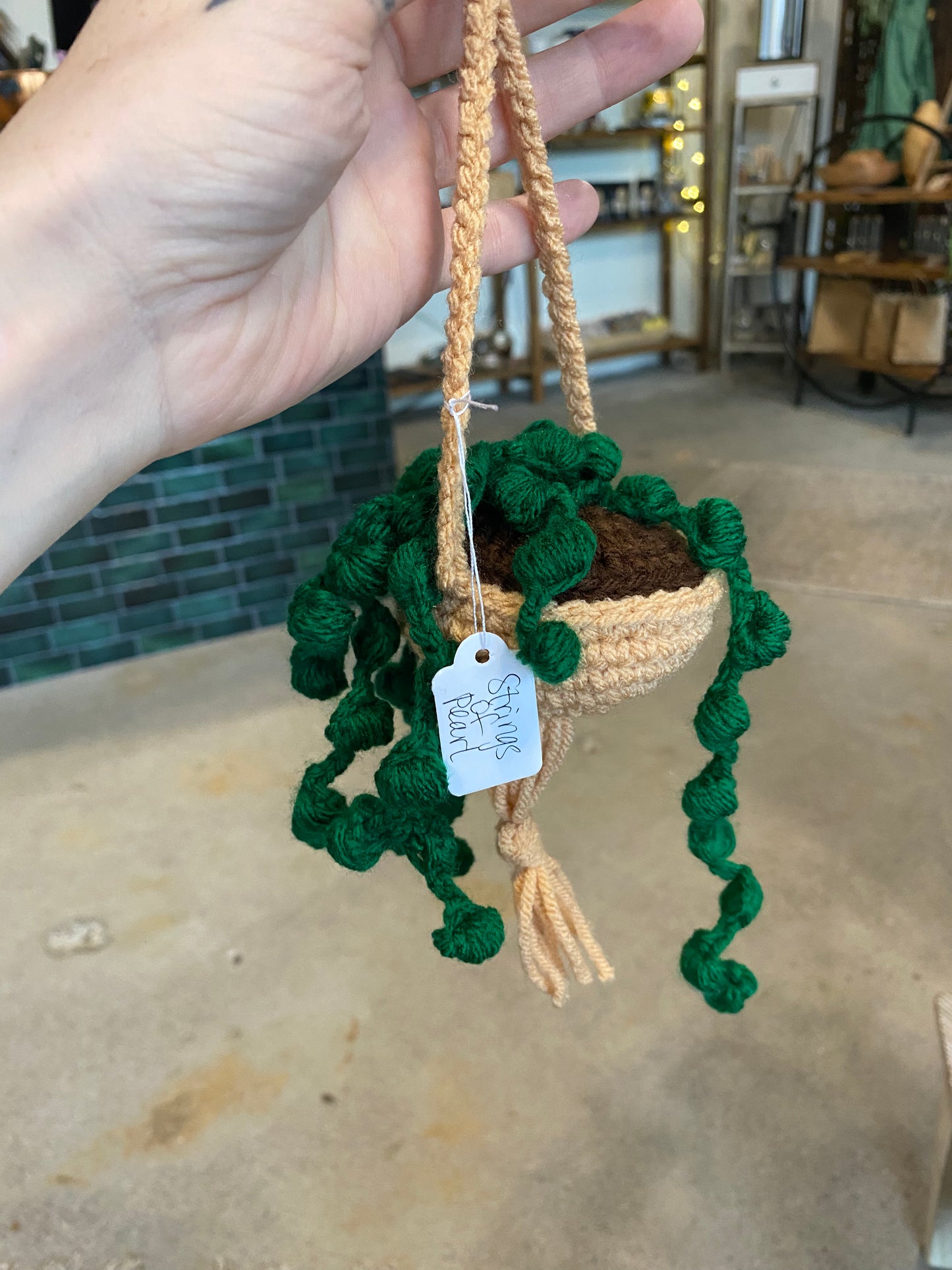 Hand-Crocheted Decorative “Plants”