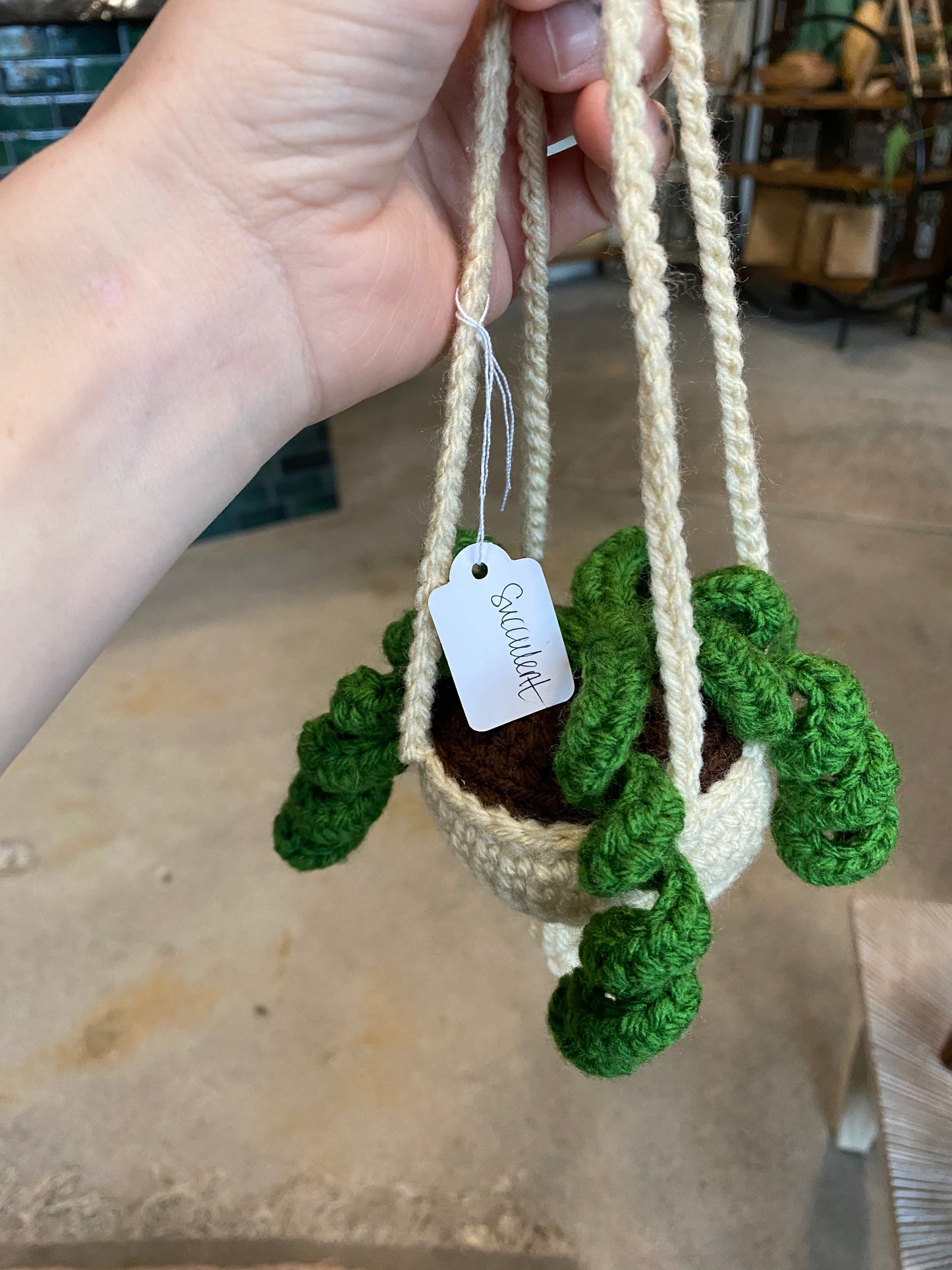 Hand-Crocheted Decorative “Plants”