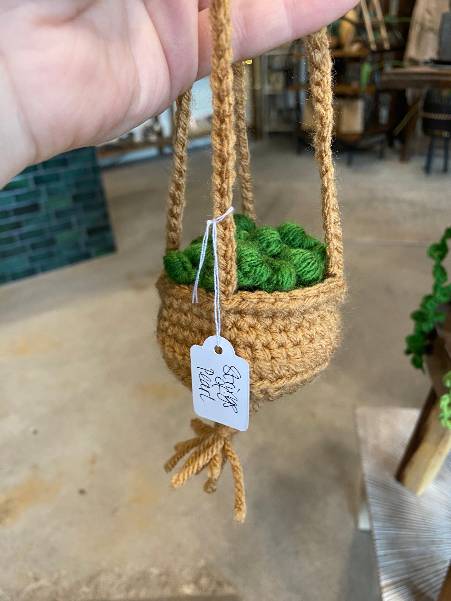 Hand-Crocheted Decorative “Plants”