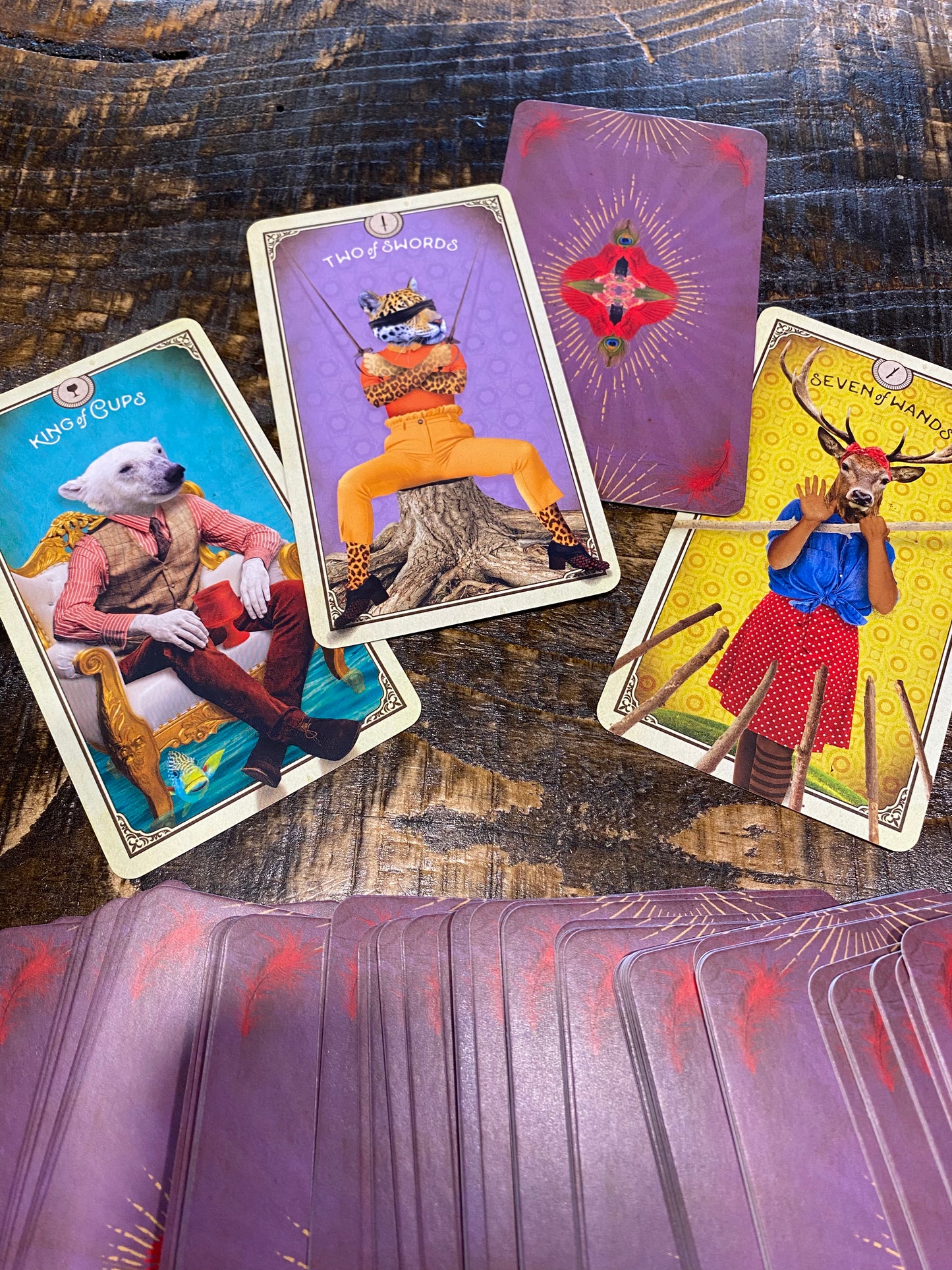 The Tarot of Curious Creatures