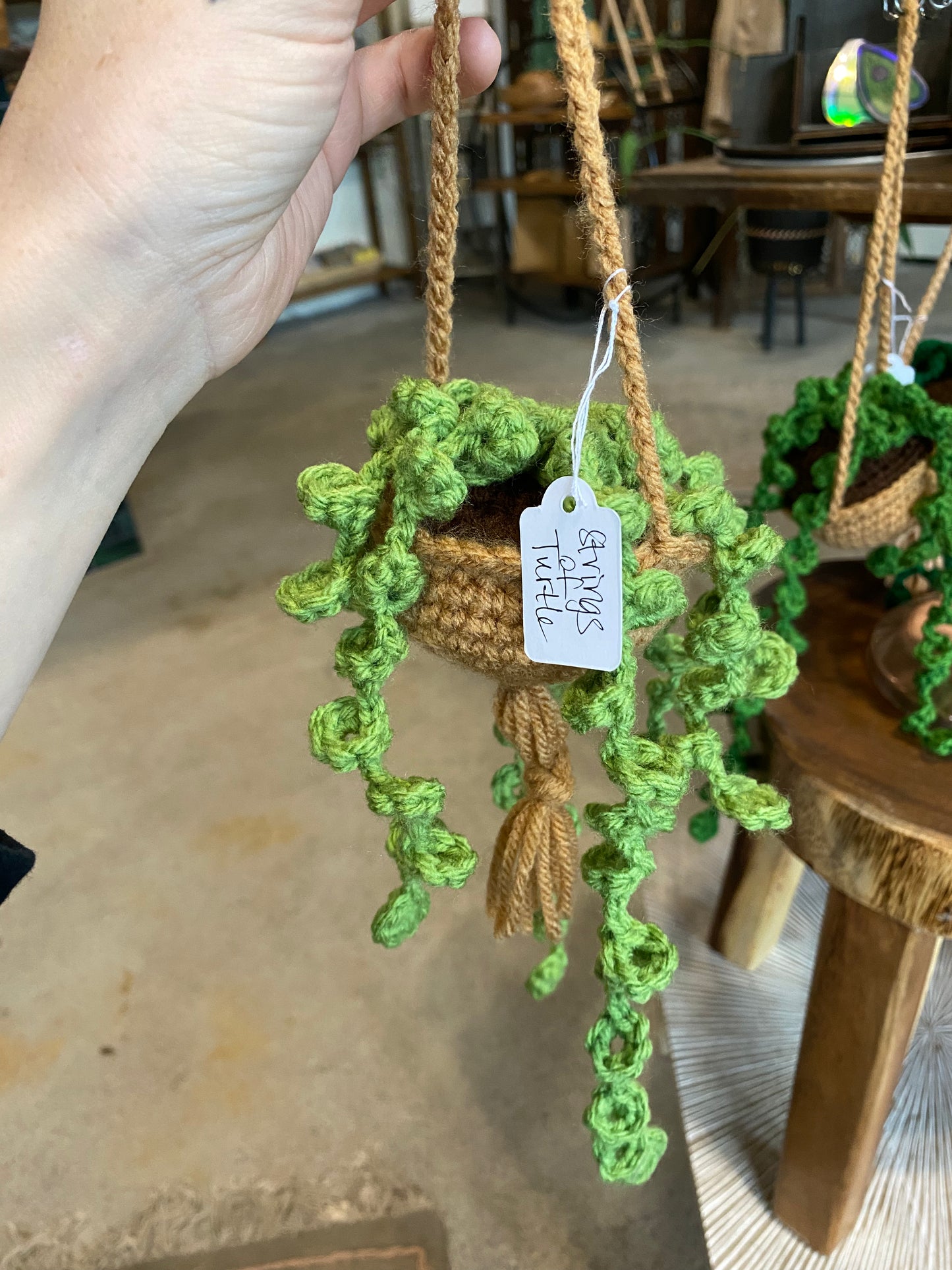Hand-Crocheted Decorative “Plants”