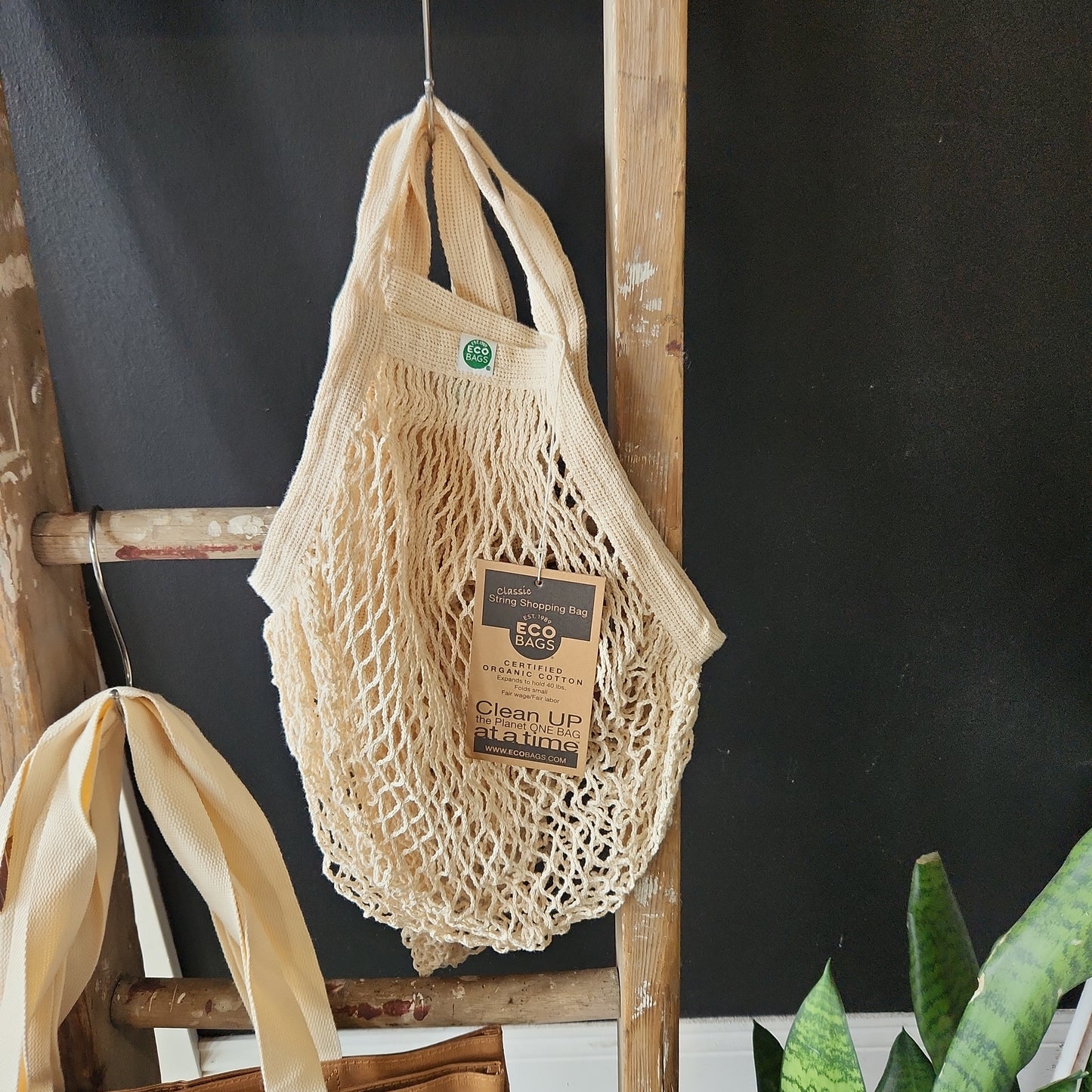 Organic Cotton String Bag