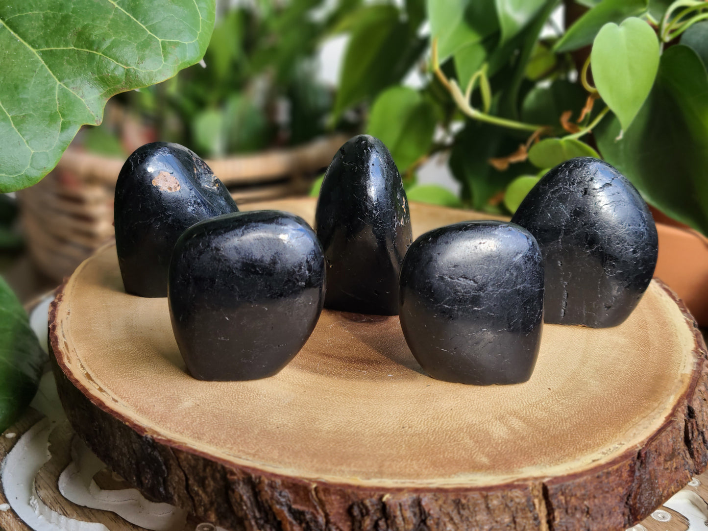 Black Tourmaline Freeforms