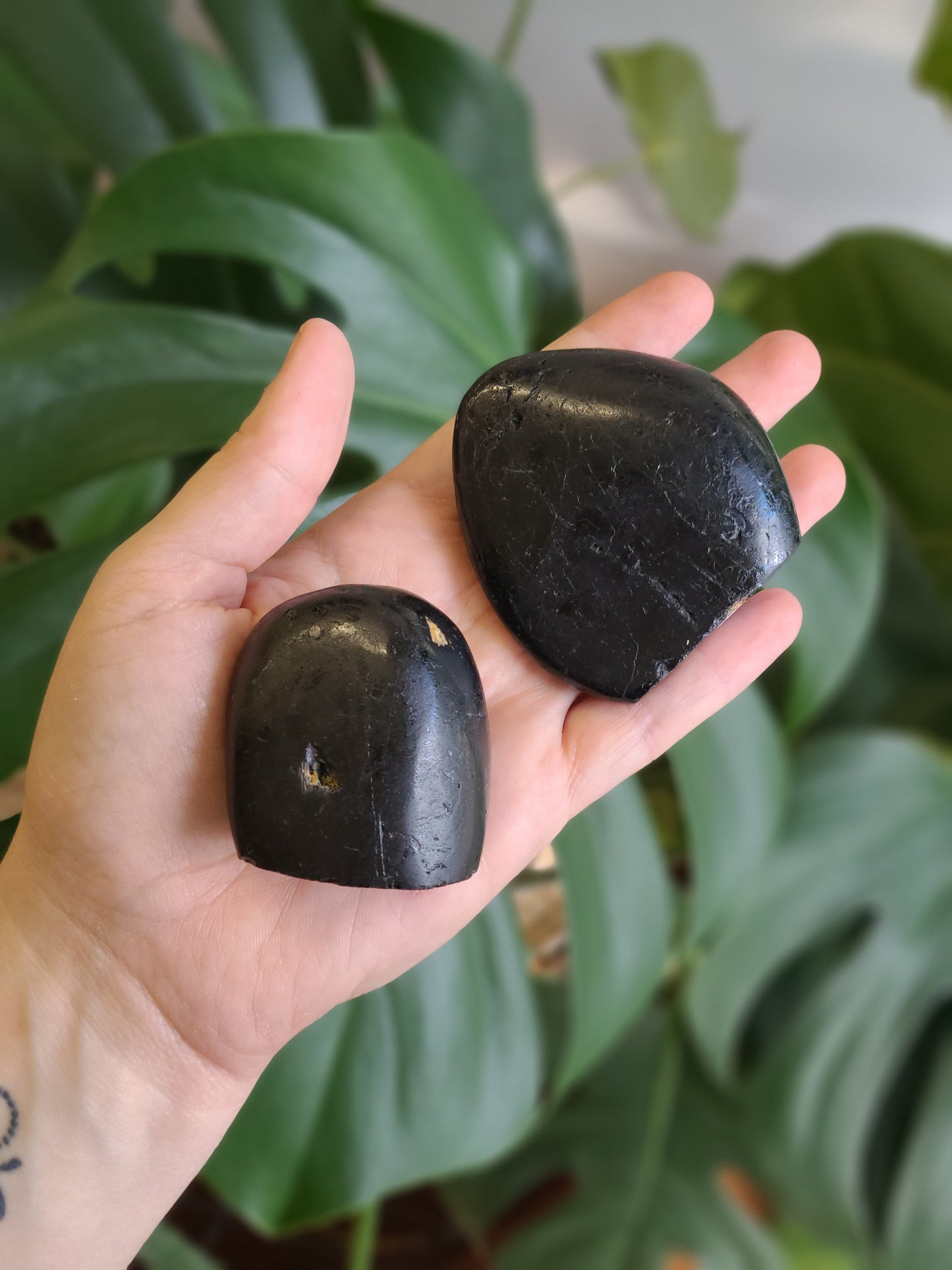 Black Tourmaline Freeforms