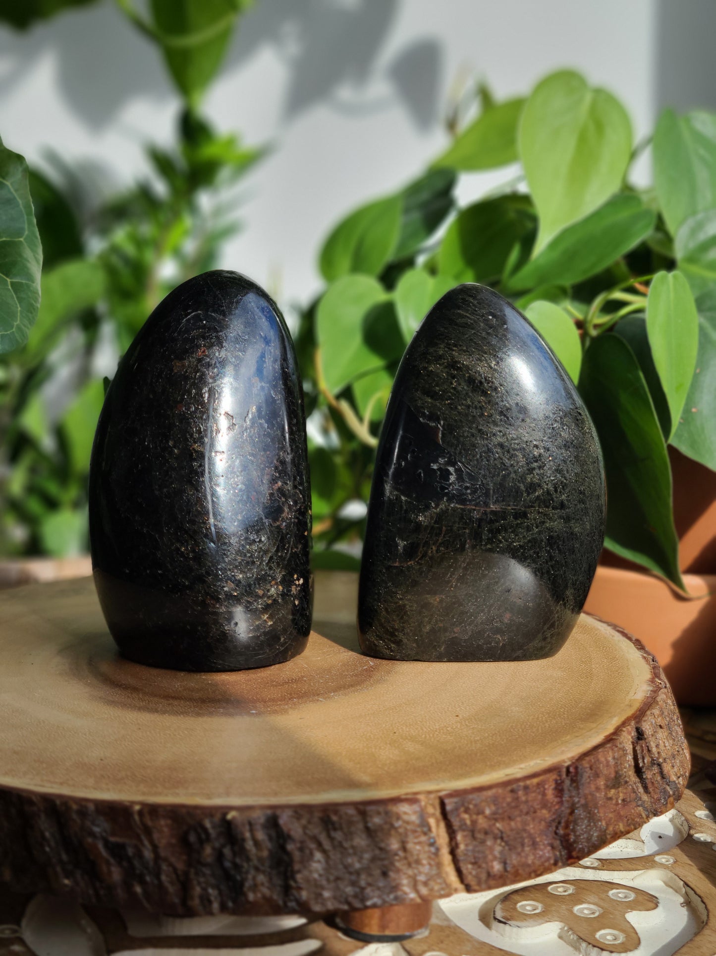 Black Tourmaline Freeforms
