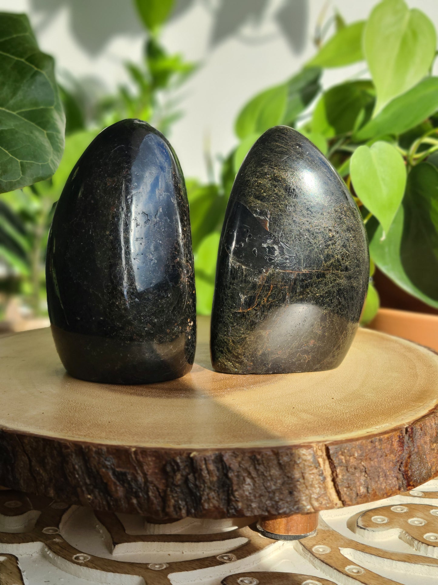 Black Tourmaline Freeforms