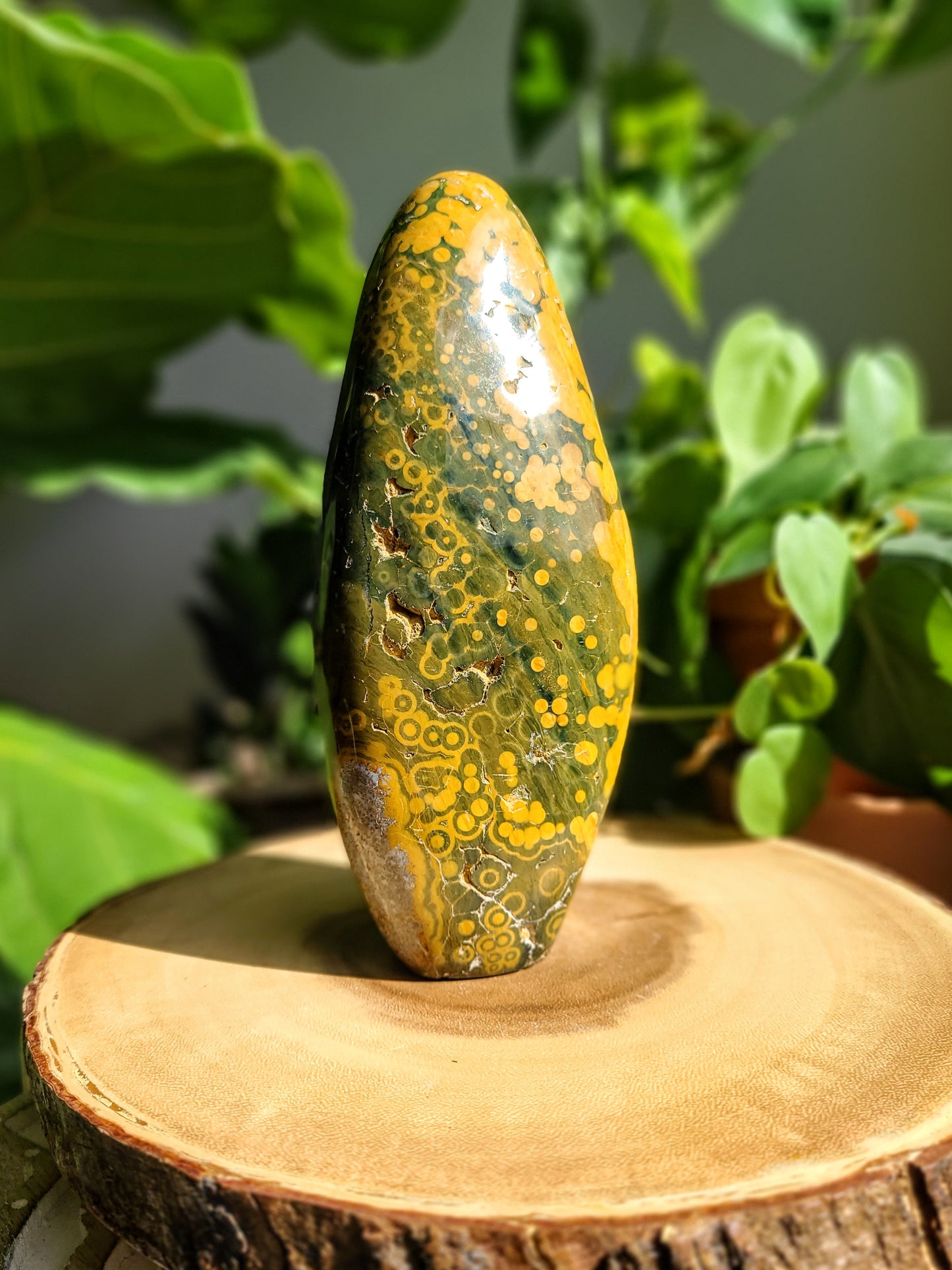 Ocean Jasper Freeform from Madagascar