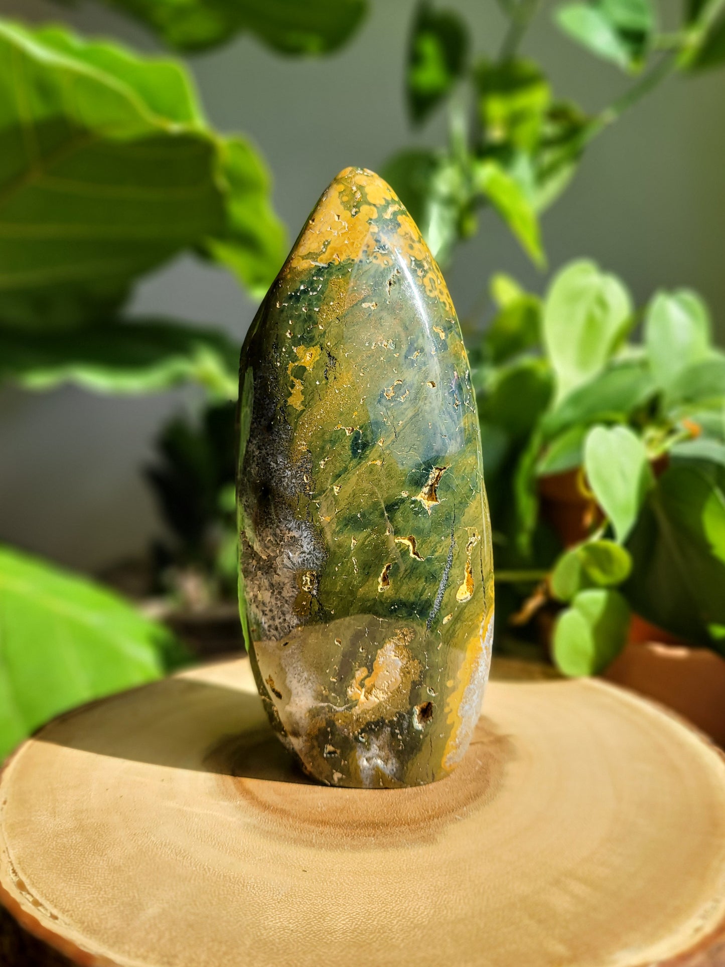 Ocean Jasper Freeform from Madagascar