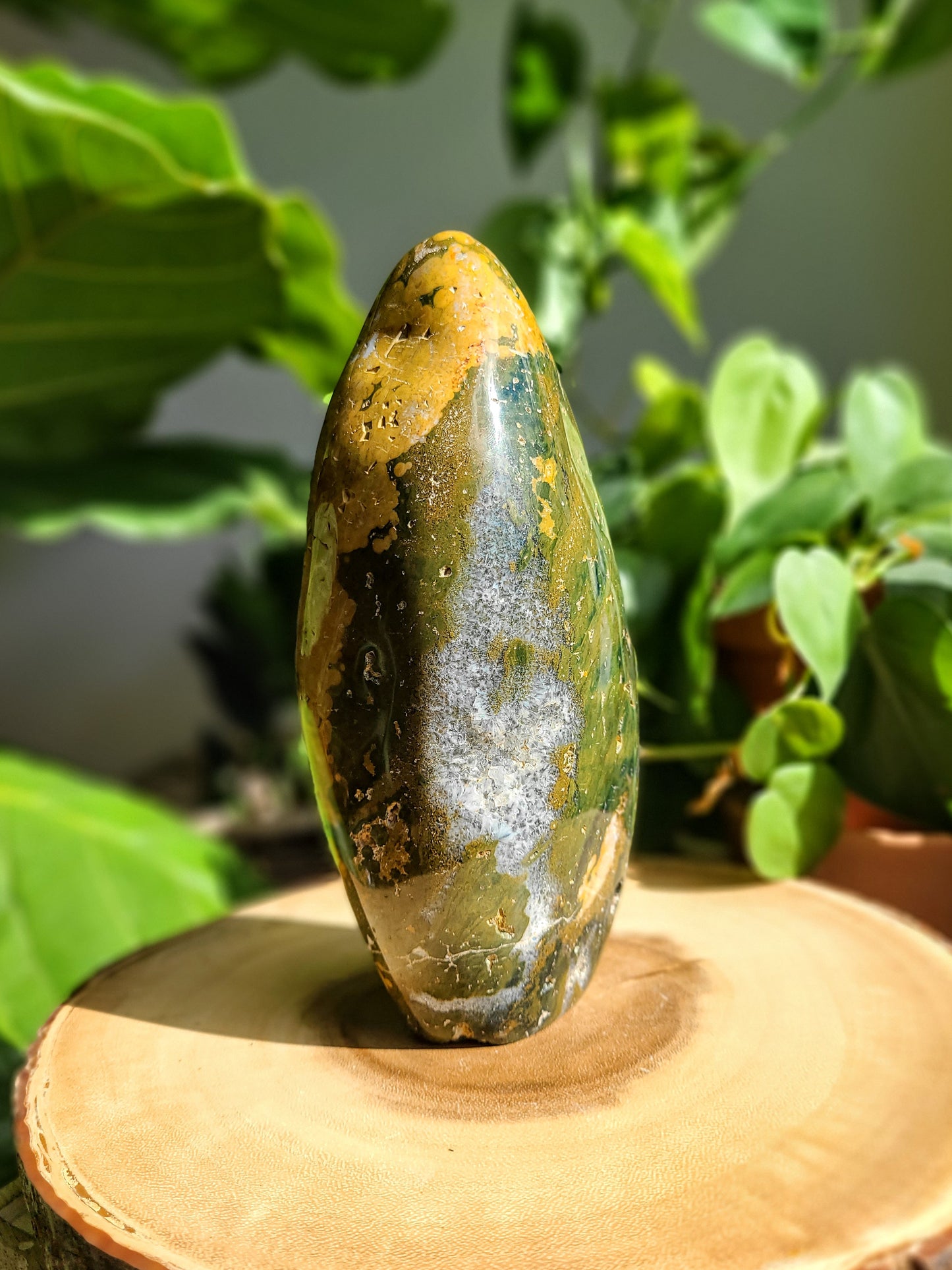 Ocean Jasper Freeform from Madagascar