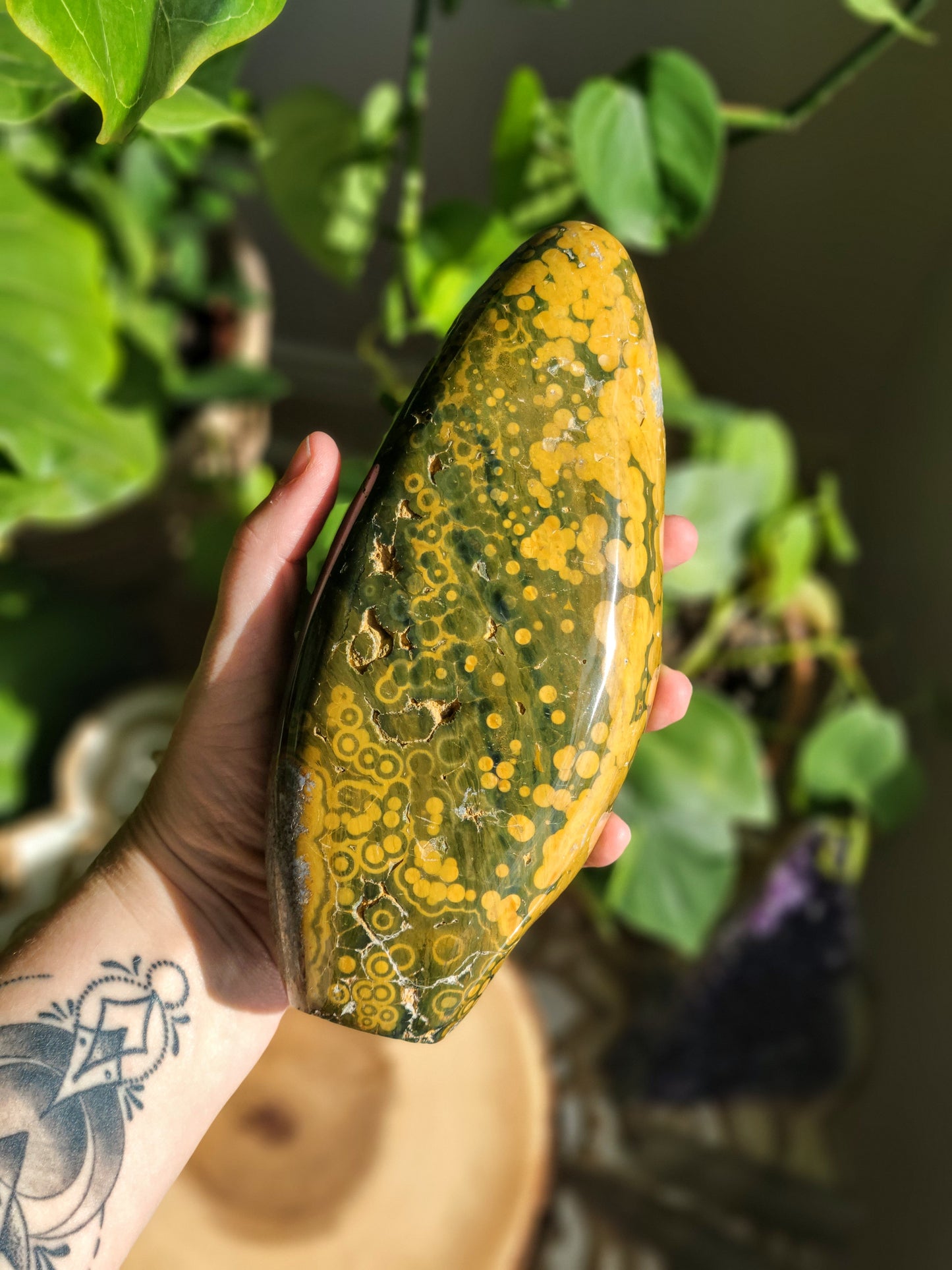 Ocean Jasper Freeform from Madagascar