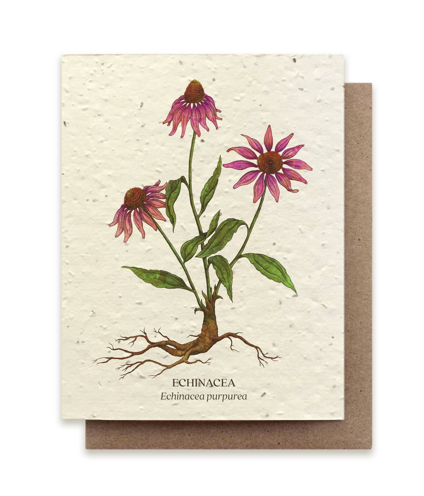 Echinacea Plantable Wildflower Seed Card
