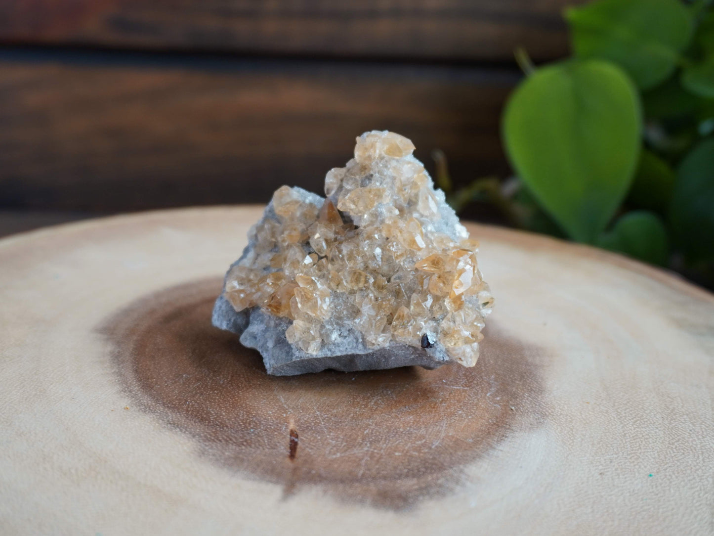 Elmwood Calcite on matrix