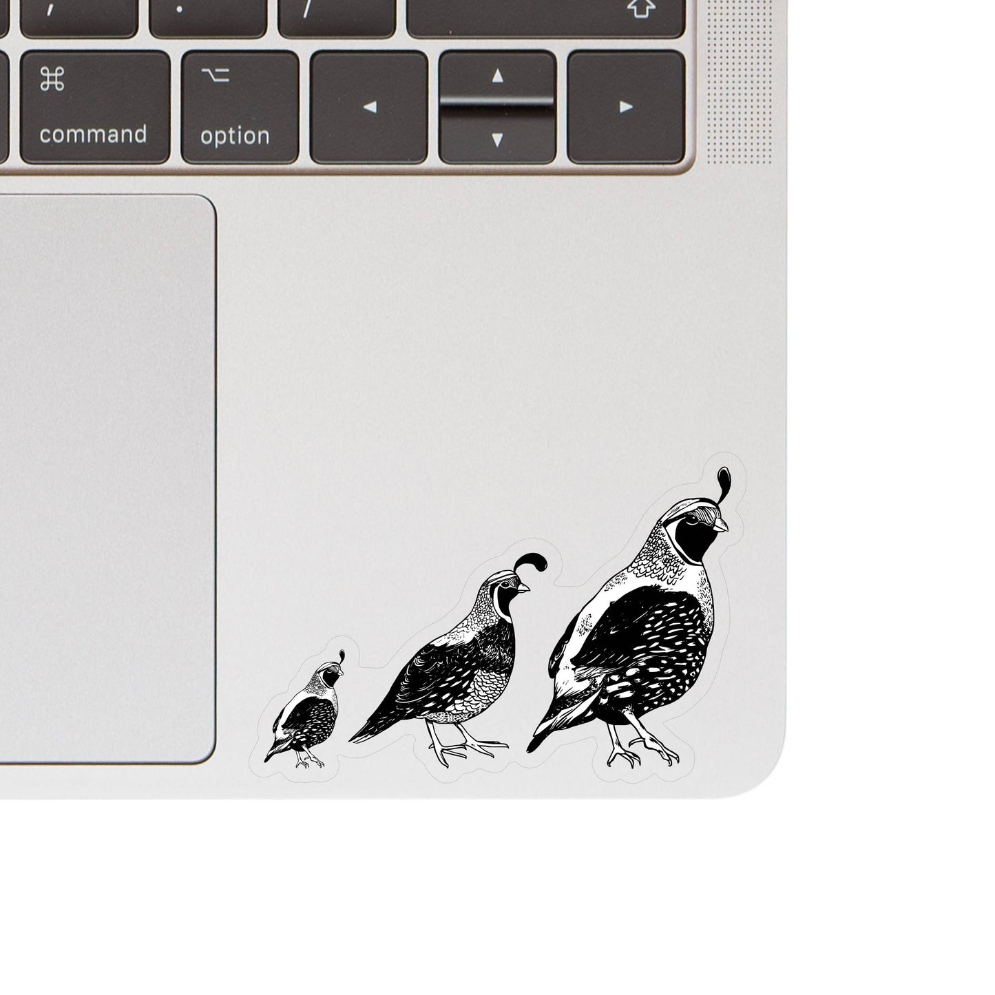 Quail Trail Bird - High Quality Clear Vinyl Sticker