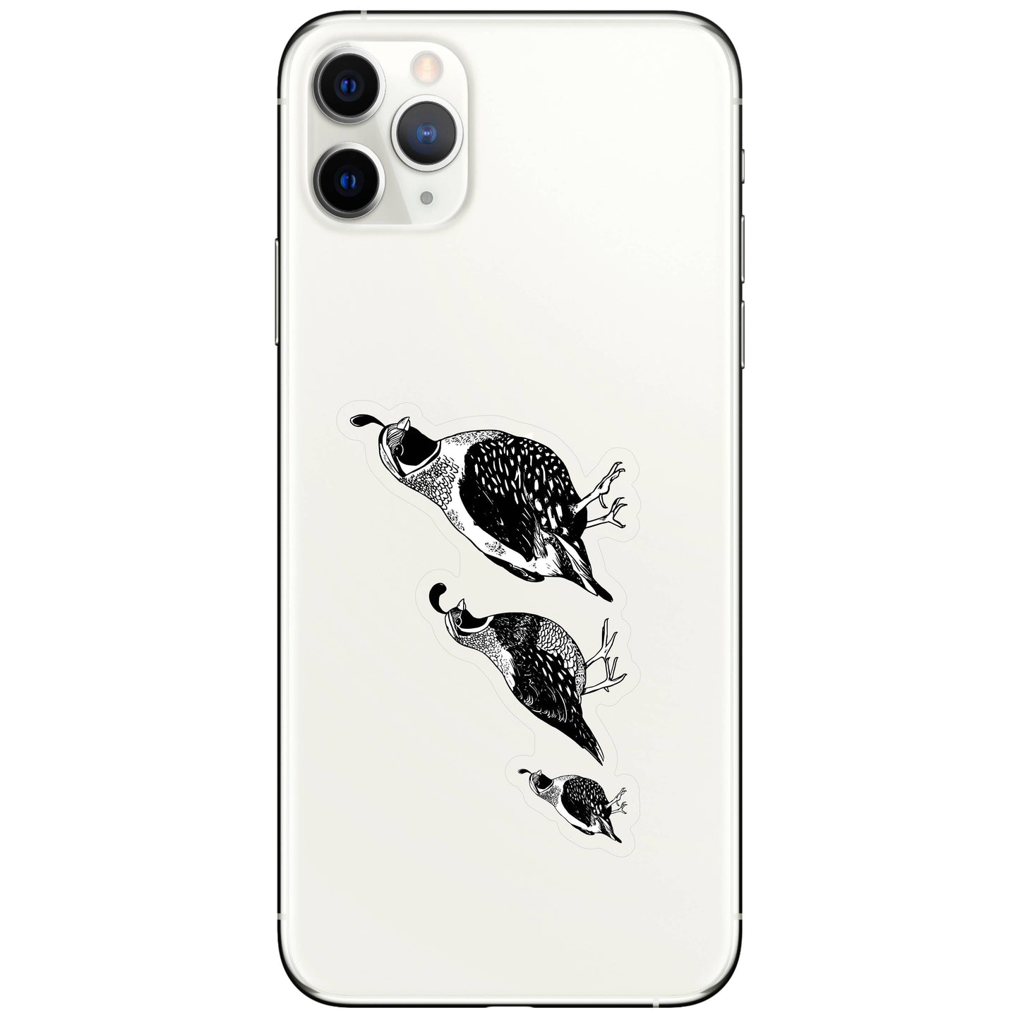 Quail Trail Bird - High Quality Clear Vinyl Sticker