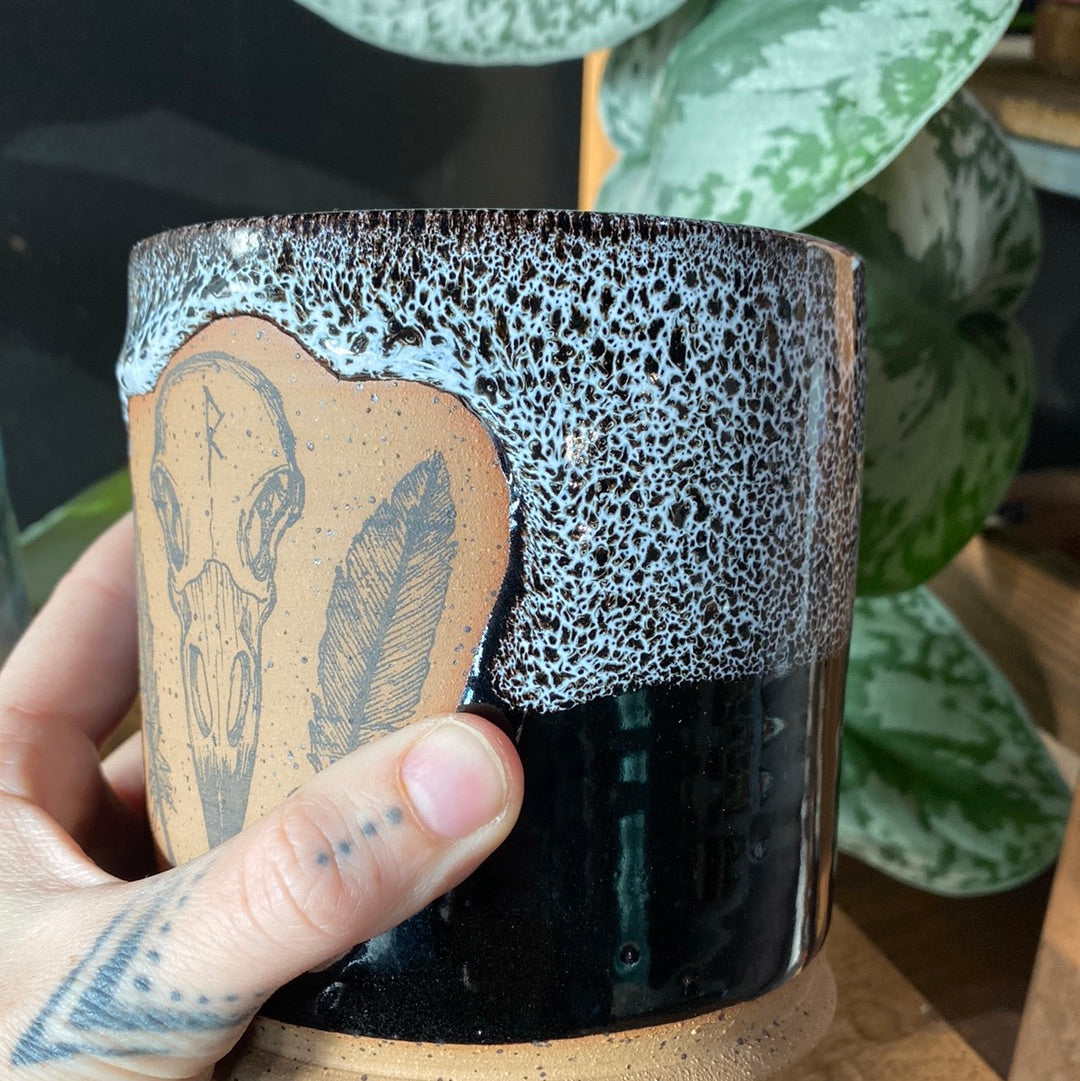 Crow Raido Planter