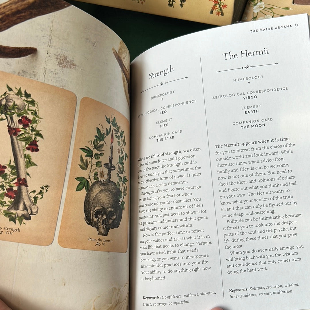 The Antique Anatomy Tarot