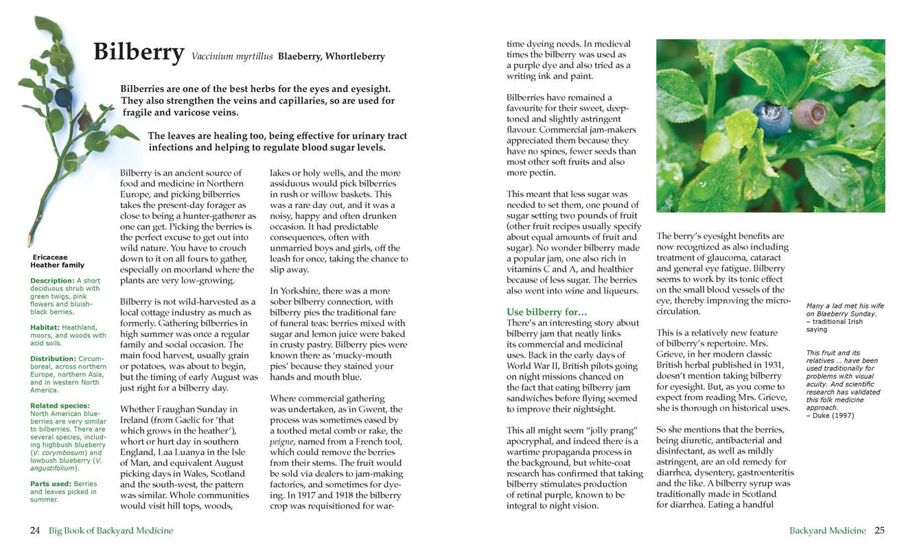 Big Book of Backyard Medicine by Julie Bruton-Seal