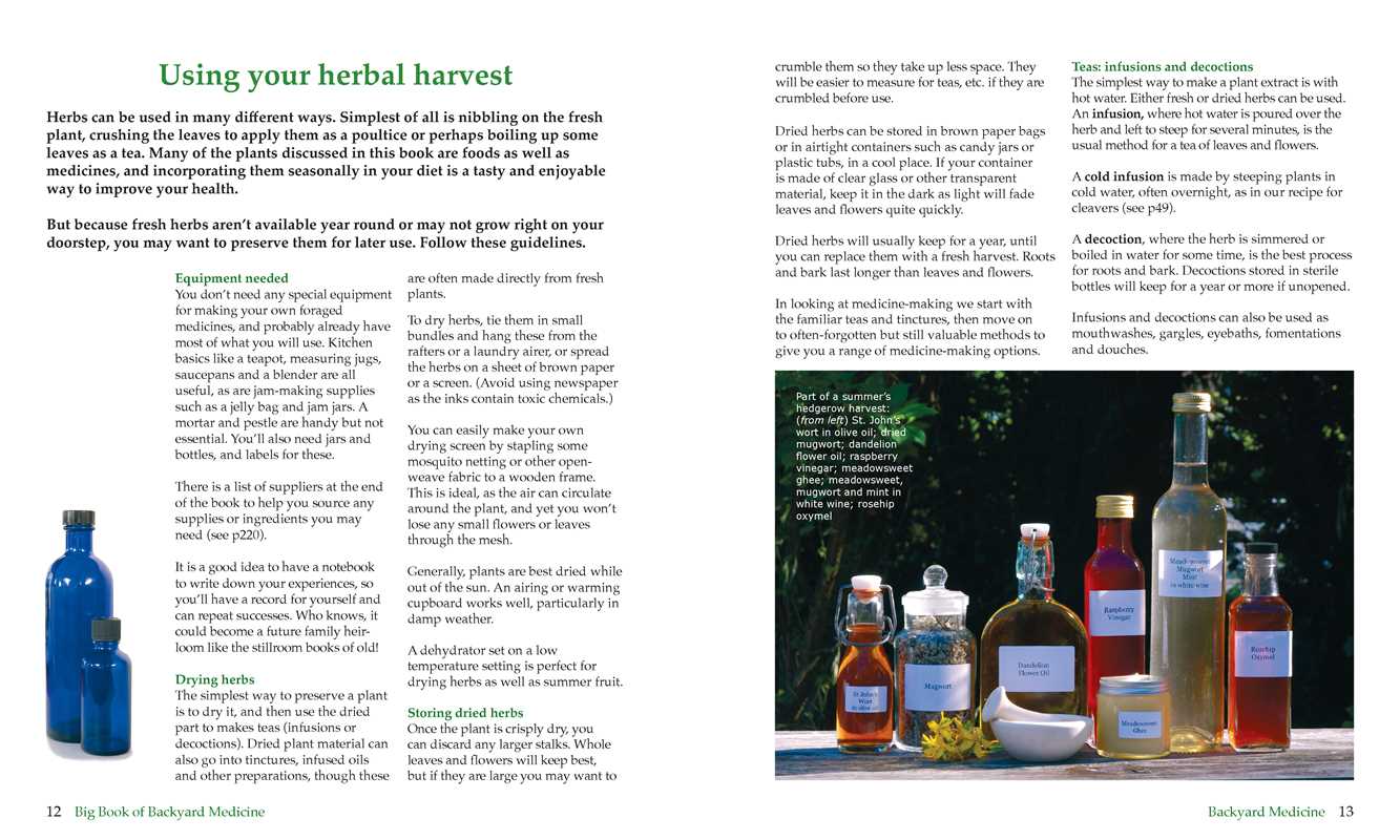 Big Book of Backyard Medicine by Julie Bruton-Seal