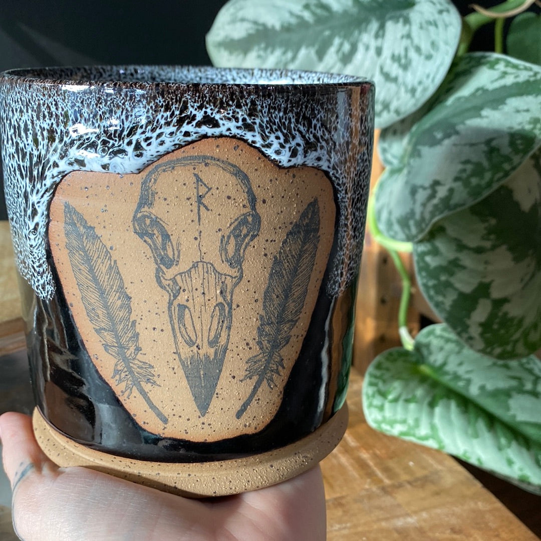 Crow Raido Planter