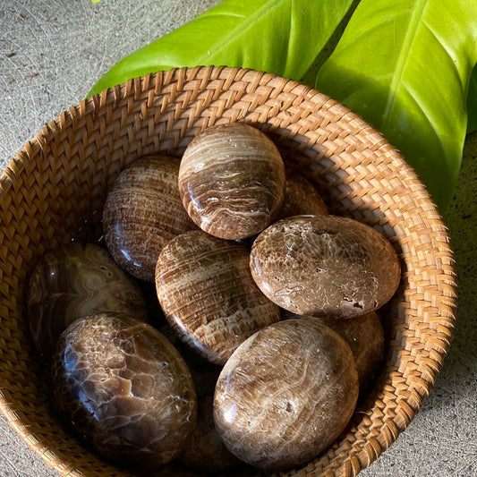 Brown Aragonite Palm Stones