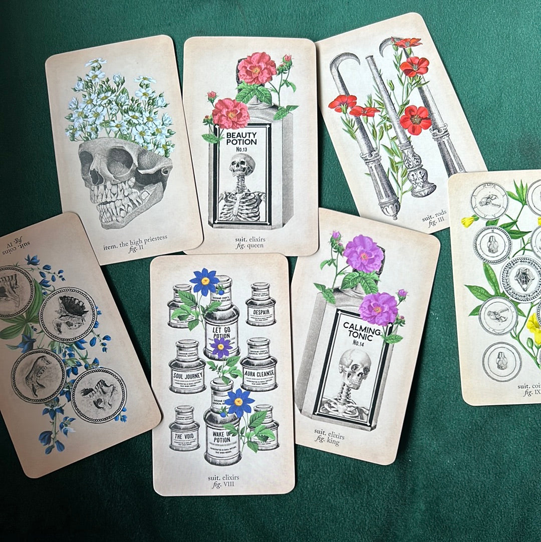 The Antique Anatomy Tarot