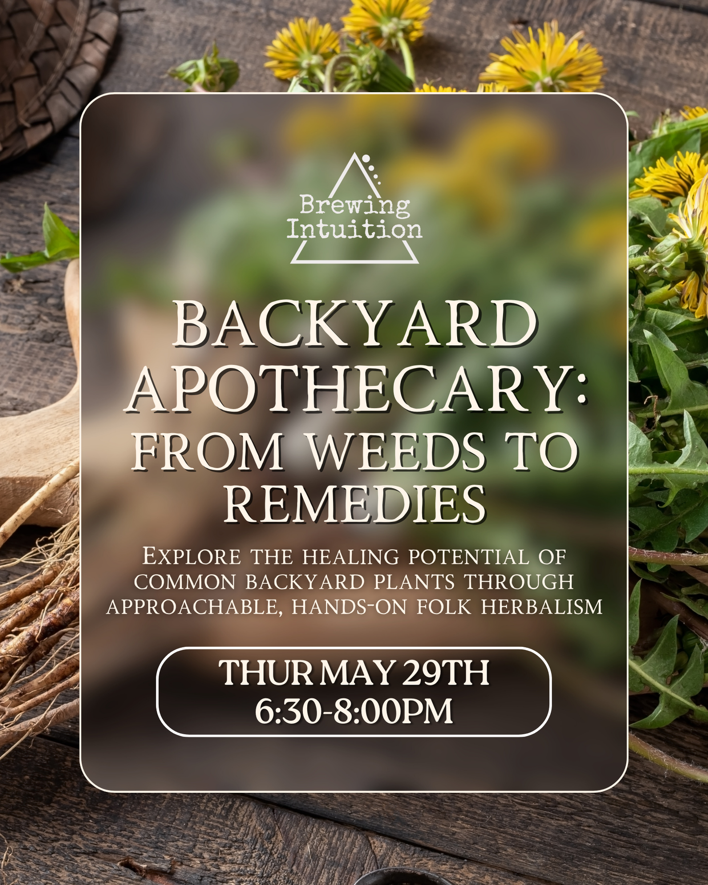 Backyard Apothecary: From Weeds to Remedies May 29th