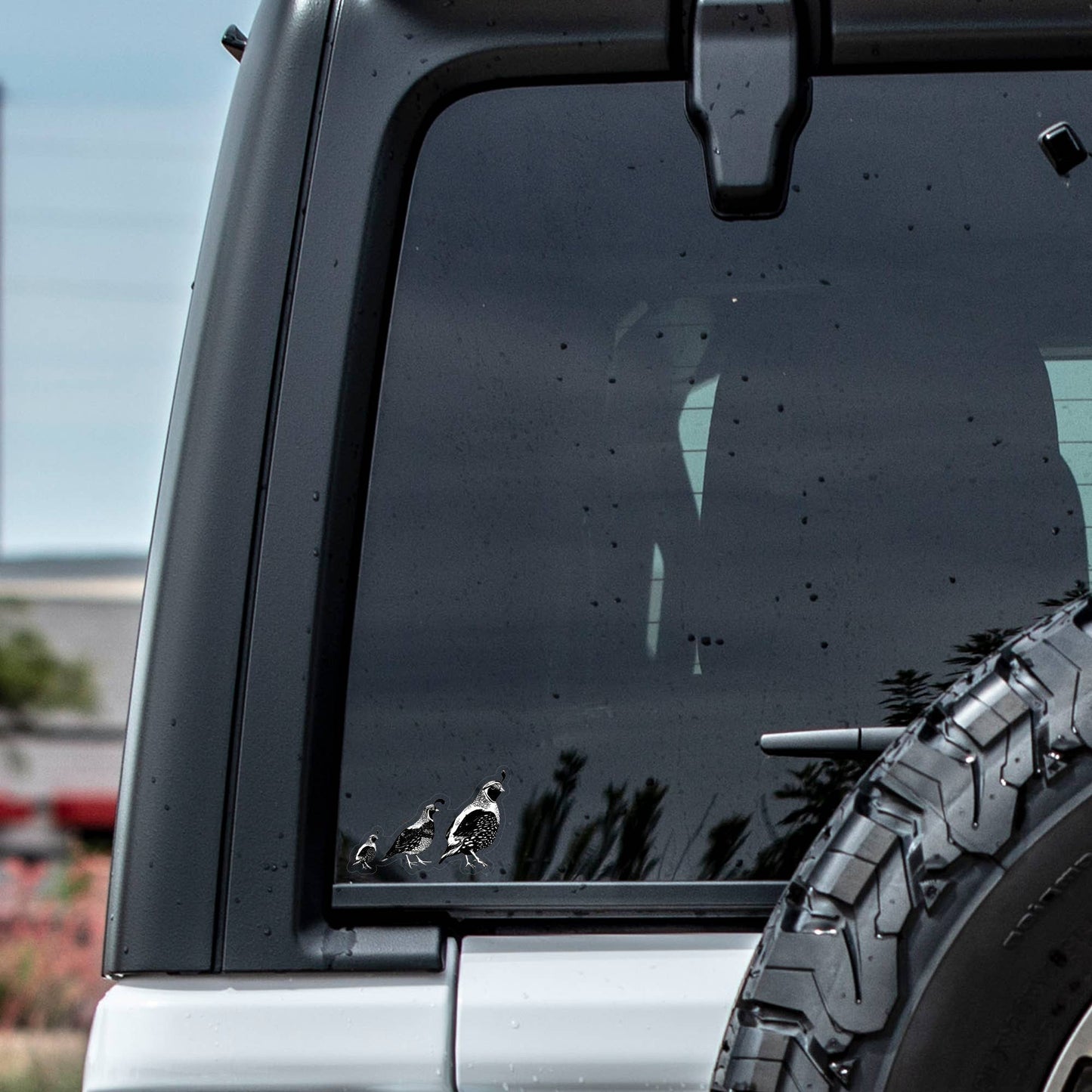 Quail Trail Bird - High Quality Clear Vinyl Sticker
