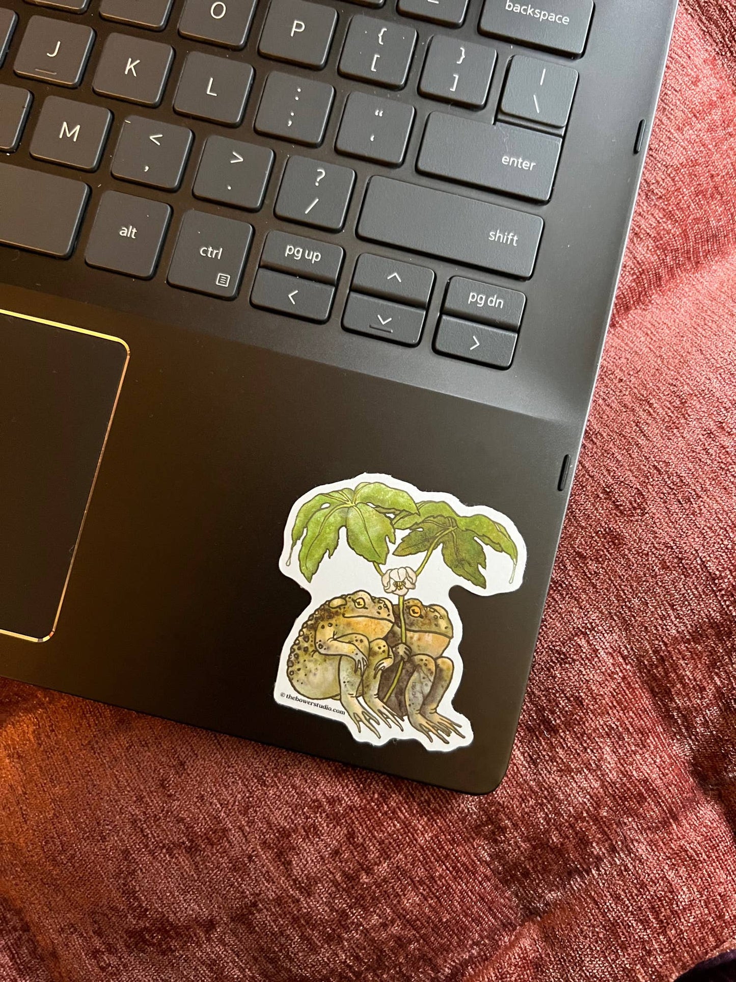 Eco-Sticker: Two Toads