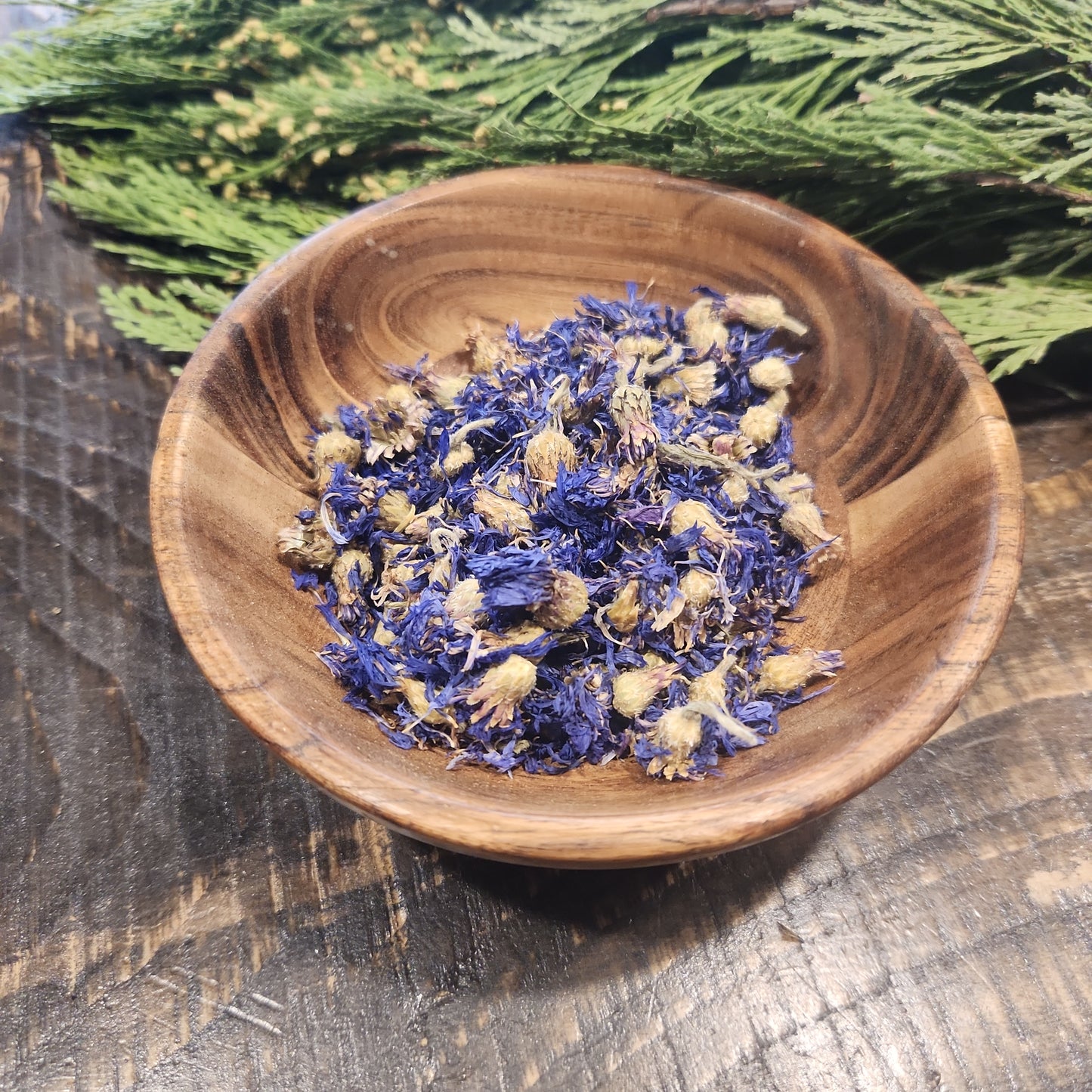 Blue Cornflower