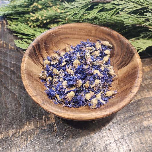Blue Cornflower