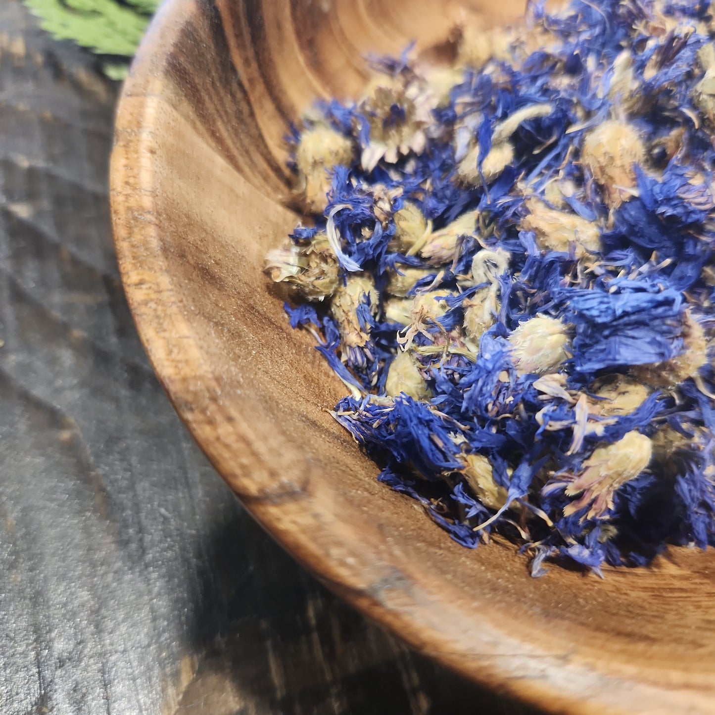 Blue Cornflower