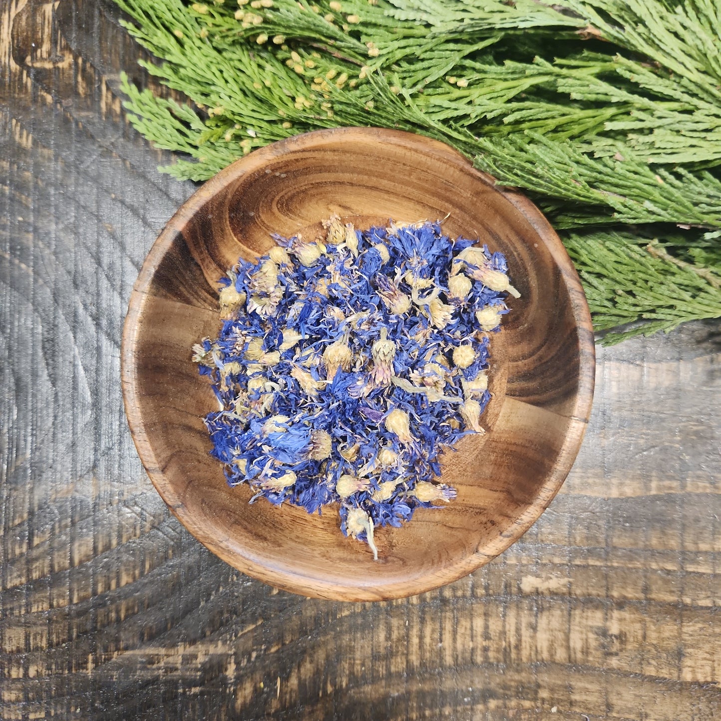 Blue Cornflower