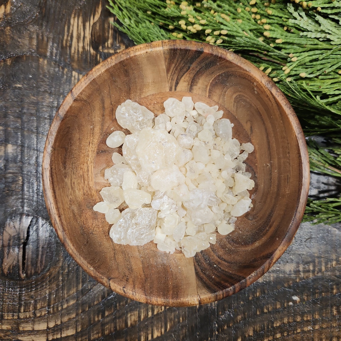 White Copal Resin Wildcrafted
