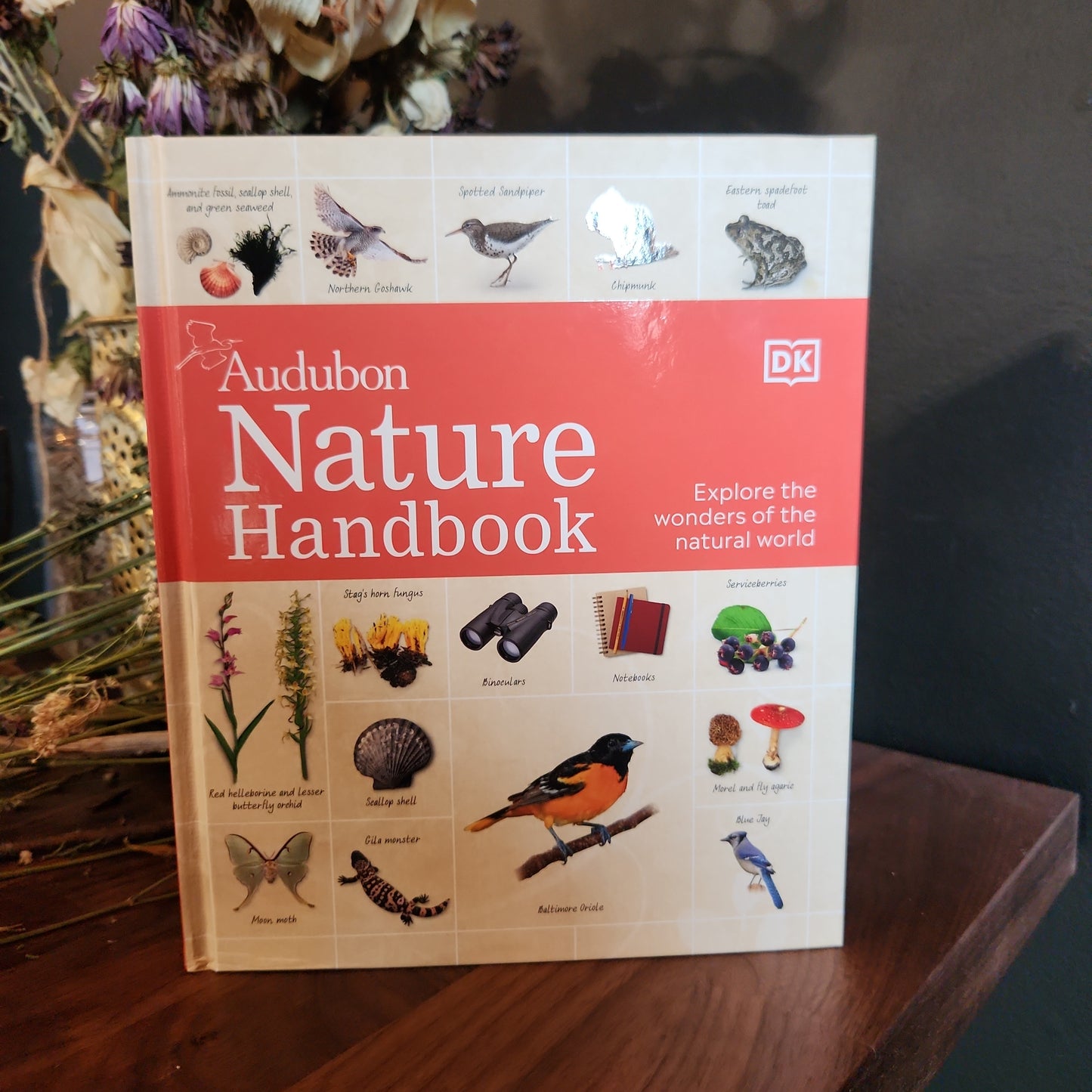 Audubon’s Nature Handbook